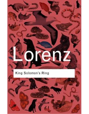 King Solomon's Ring King Solomon's Ring
