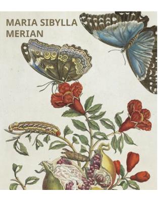 Maria Sibylla Merian Maria Sibylla Merian