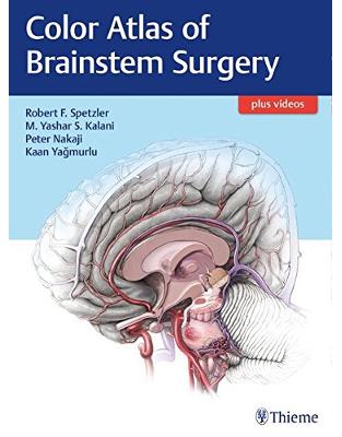 Color Atlas of Brainstem Surgery Color Atlas of Brainstem Surgery