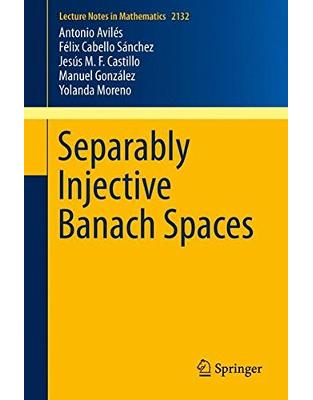Separably Injective Banach Spaces Separably Injective Banach Spaces