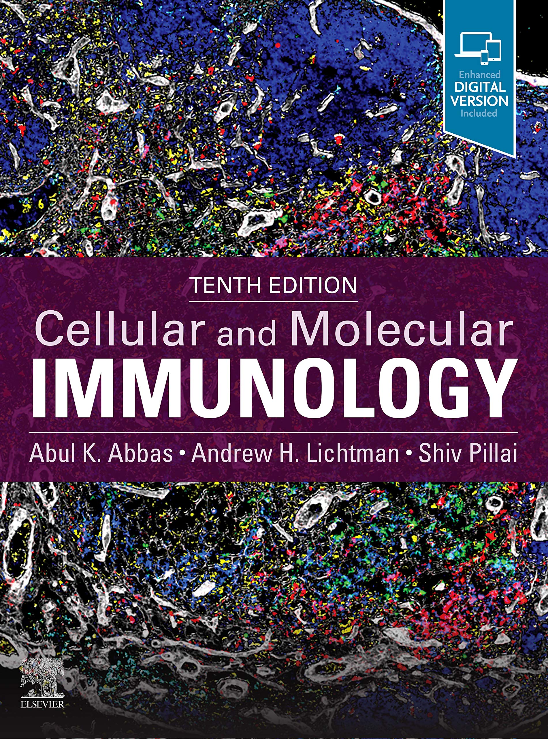 Coperta cărții "Cellular and Molecular Immunology 10th editiom" de autor necunoscut