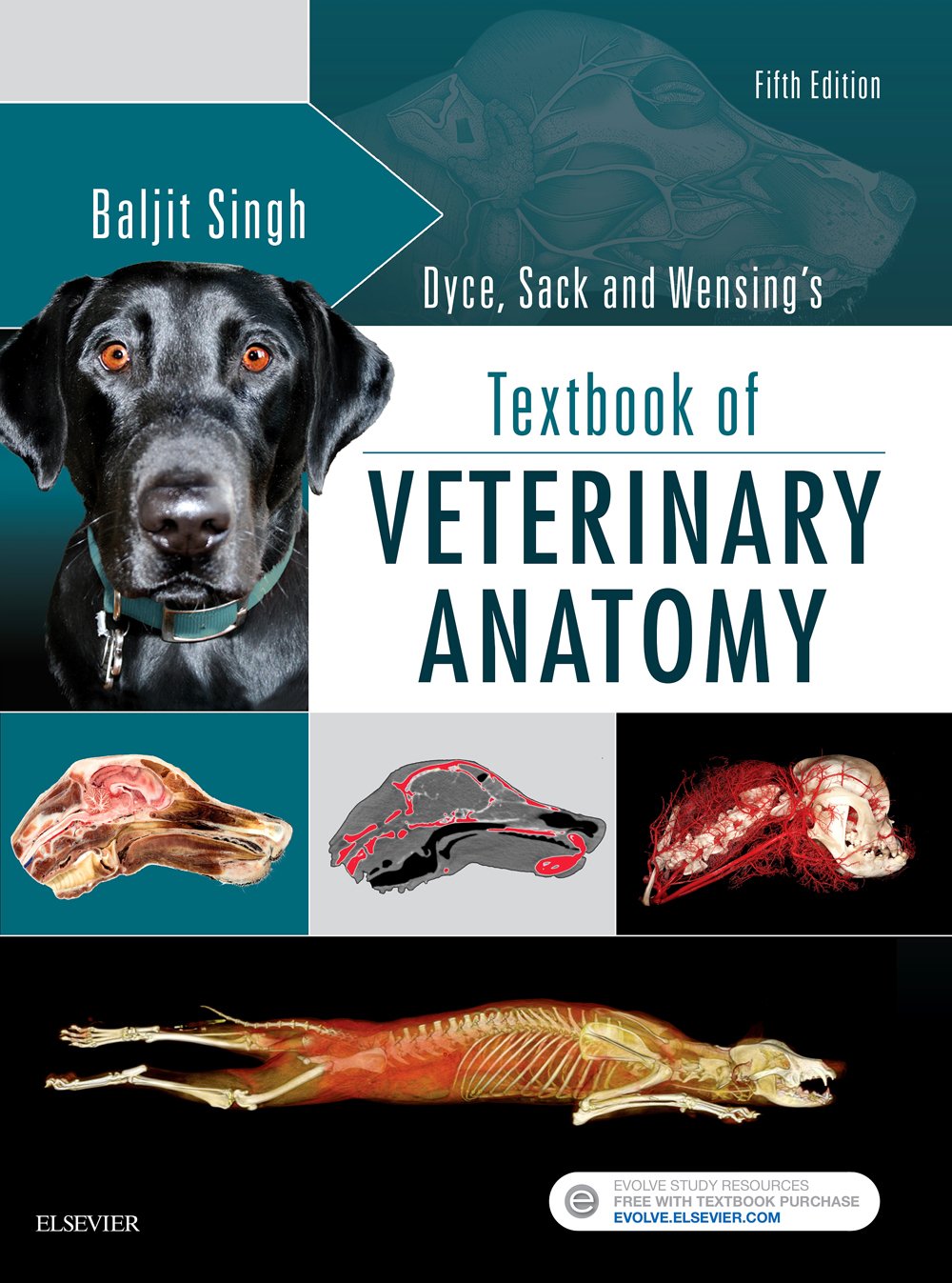 Coperta cărții "Dyce, Sack, and Wensing&#039;s Textbook of Veterinary Anatomy, 5e" de autor necunoscut