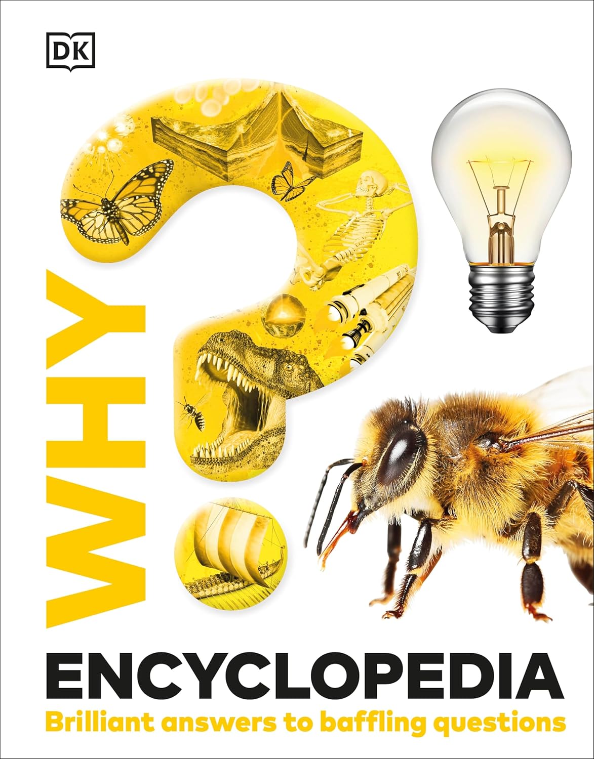 Coperta cărții "Why? Encyclopedia: Brilliant Answers to Baffling Questions" de autor necunoscut