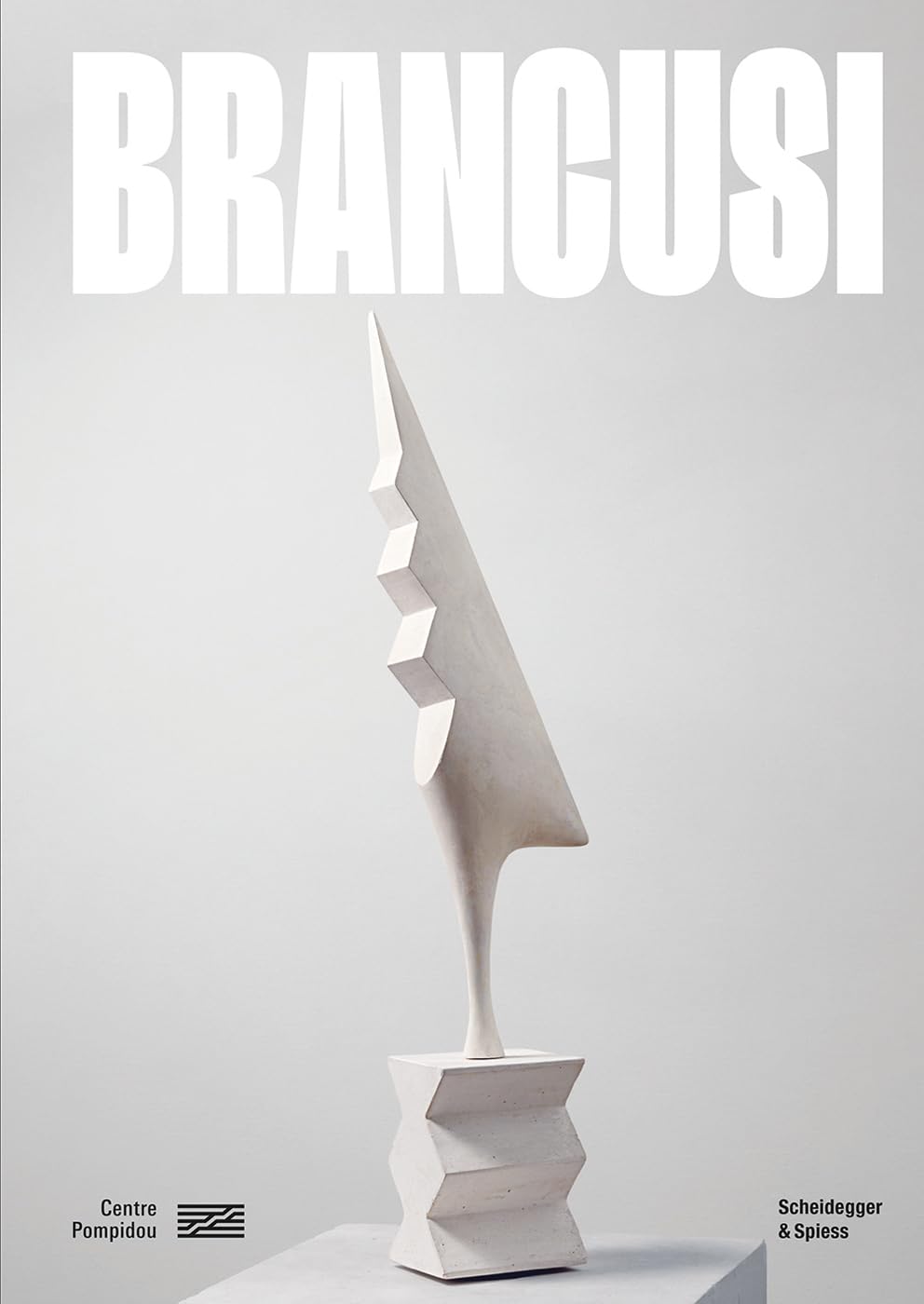 Coperta cărții "Brancusi" de autor necunoscut