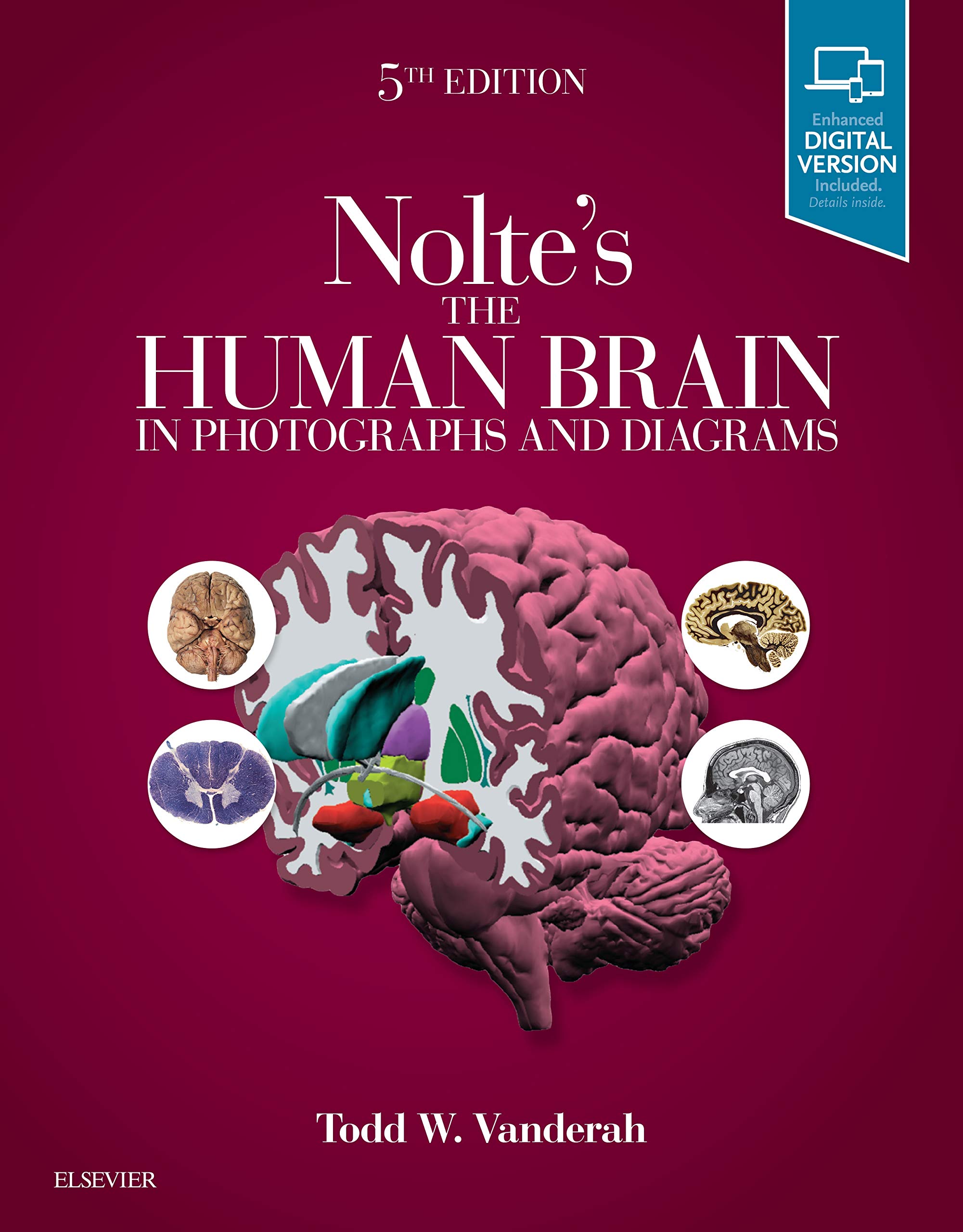Coperta cărții "Nolte&#039;s The Human Brain in Photographs and Diagrams, 5e: With STUDENT CONSULT Online Access" de autor necunoscut