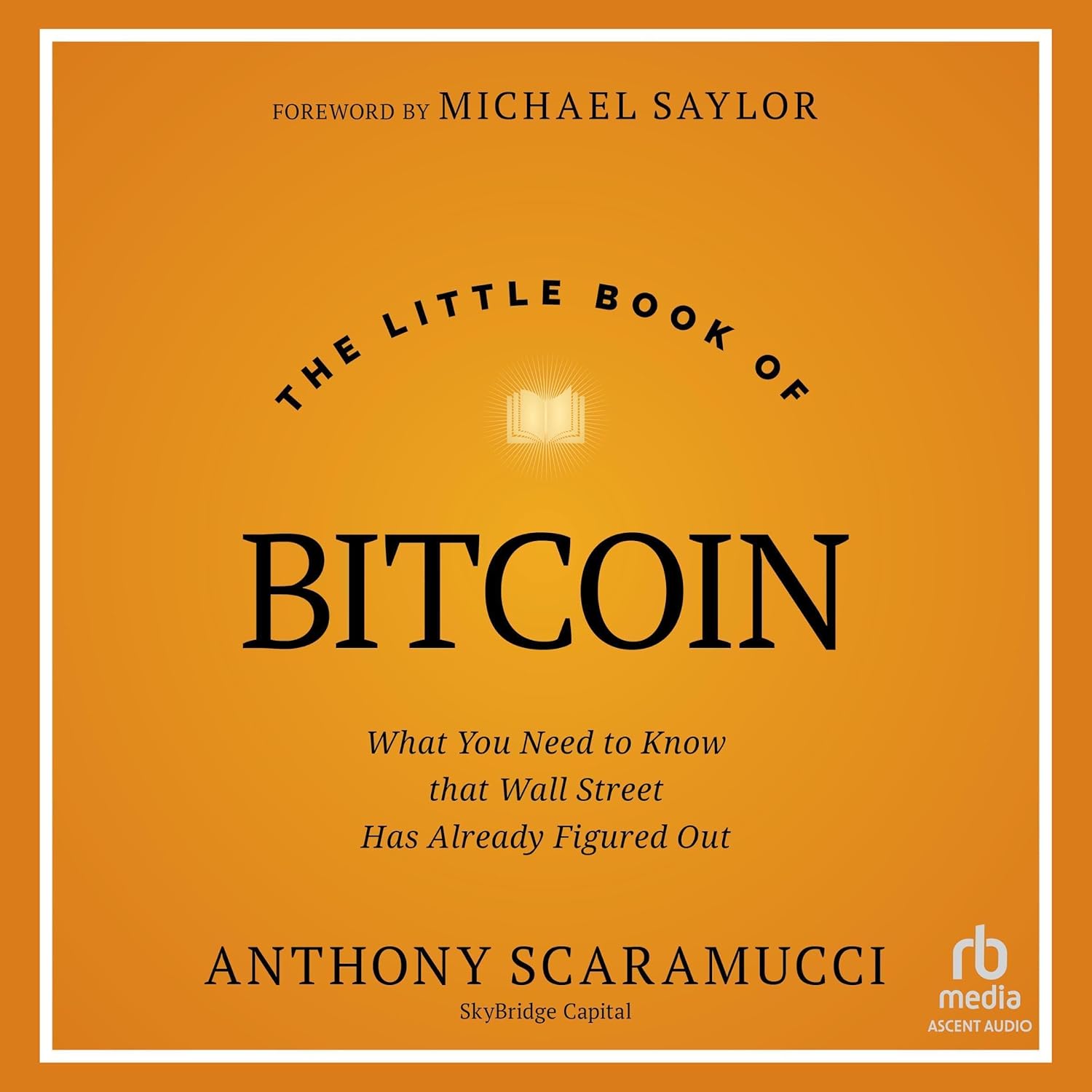 Coperta cărții "The Little Book of Bitcoin" de autor necunoscut