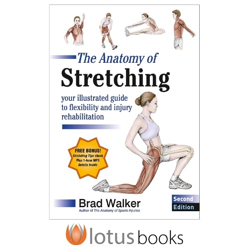 Coperta cărții "The Anatomy of Stretching: Your Illustrated Guide to Flexibility and Injury Rehabilitation" de autor necunoscut