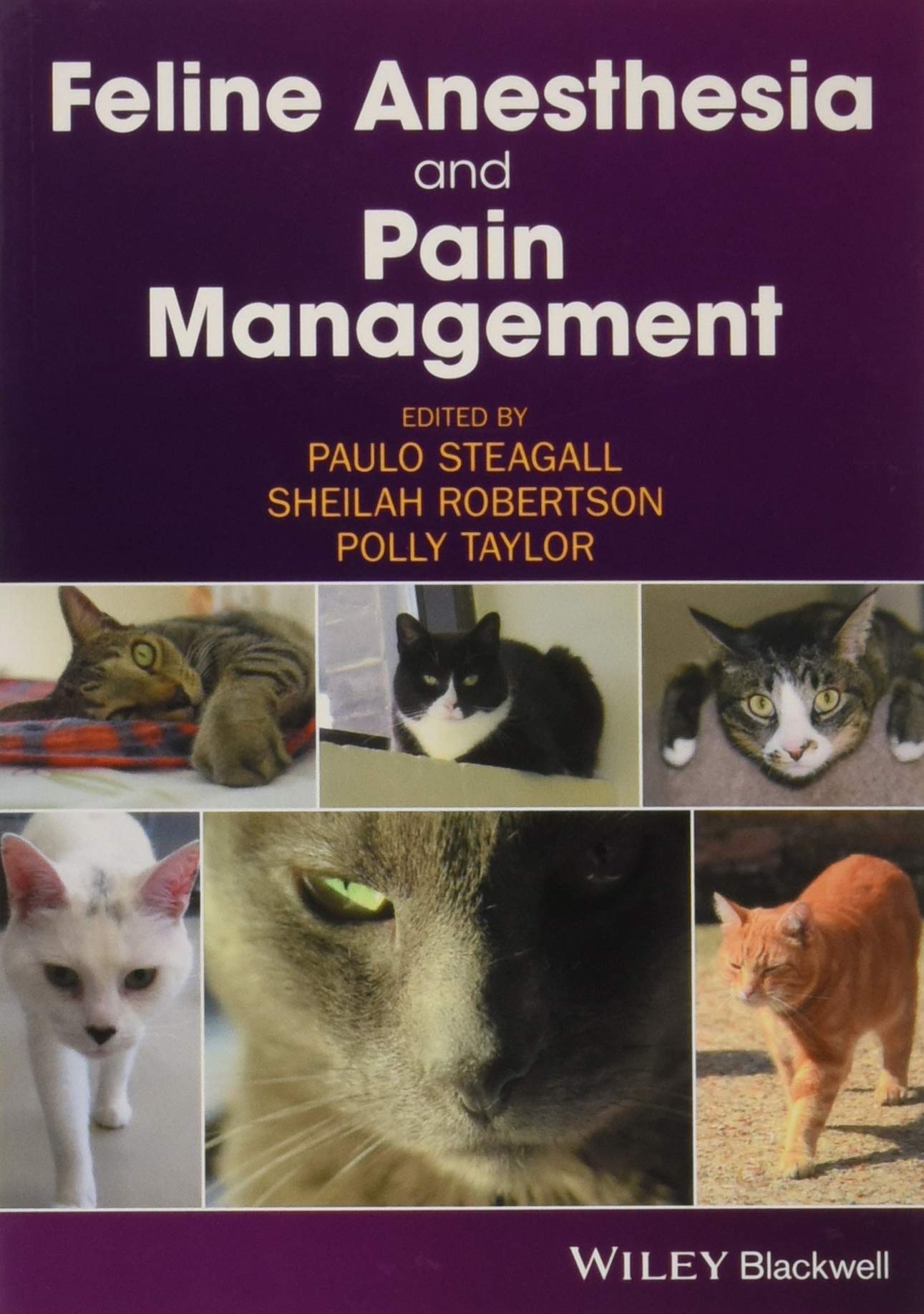 Coperta cărții "Feline Anesthesia and Pain Management" de autor necunoscut