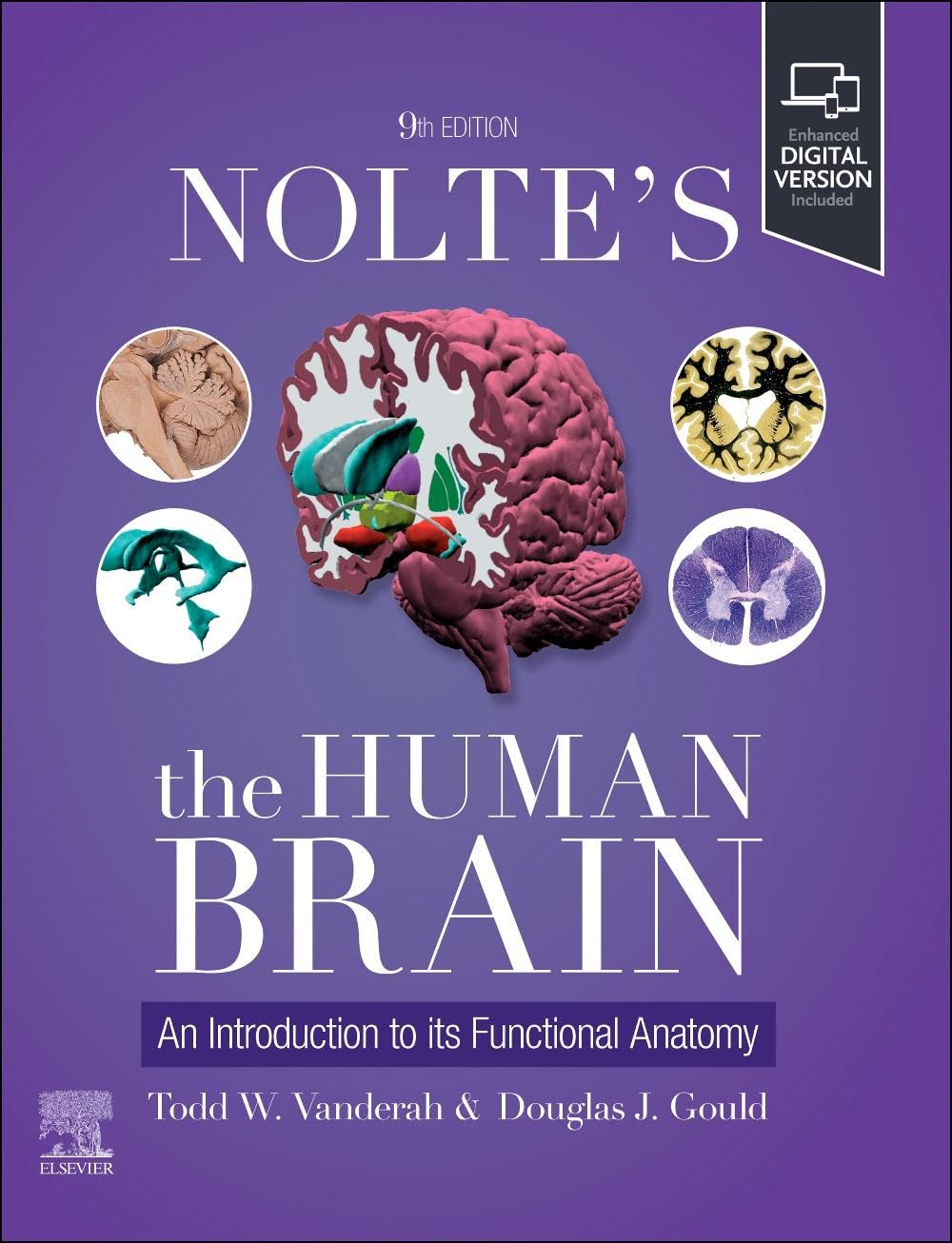Coperta cărții "Nolte&#039;s The Human Brain: An Introduction to its Functional Anatomy" de autor necunoscut