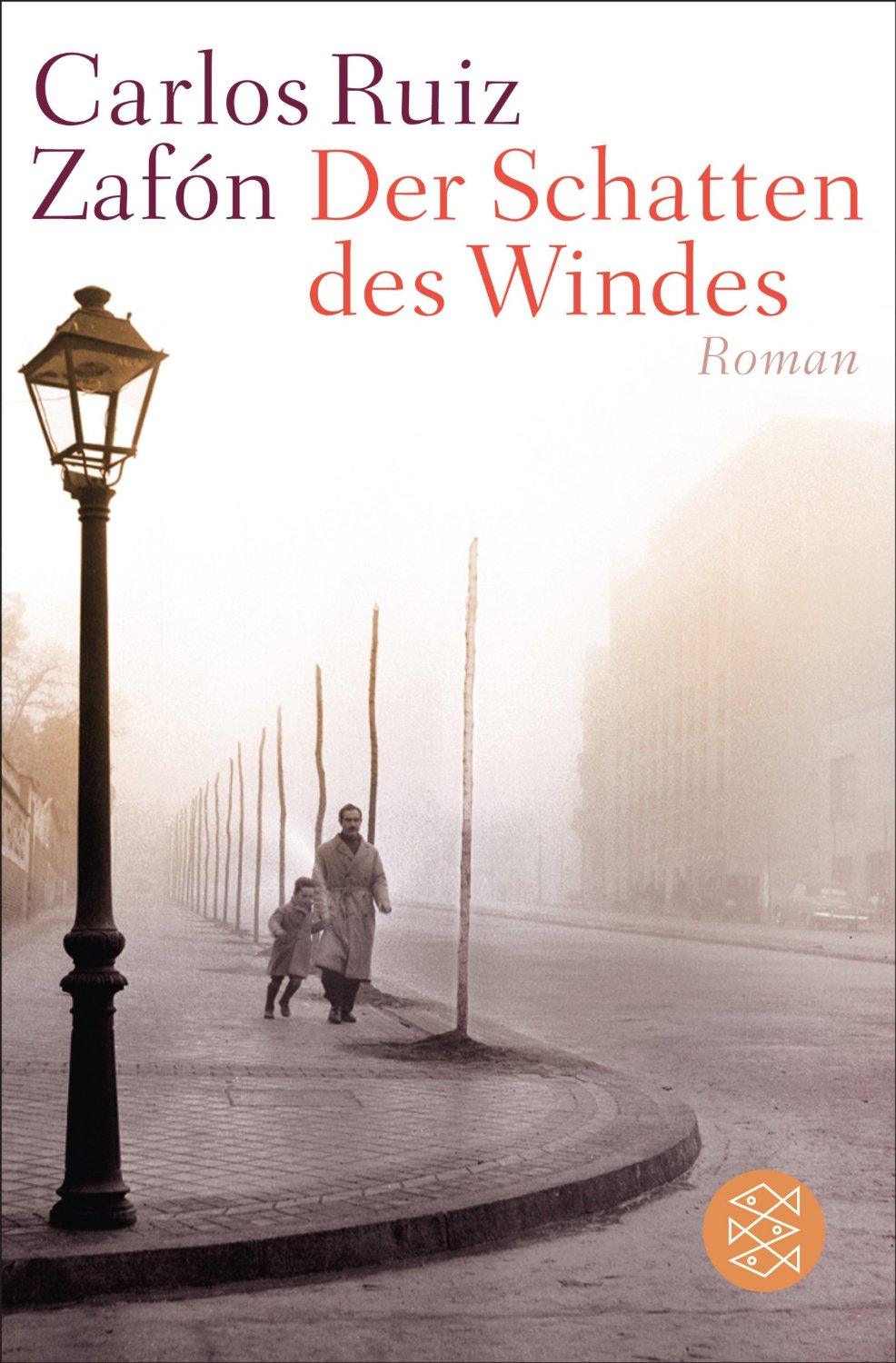 Coperta cărții "Der Schatten des Windes" de autor necunoscut