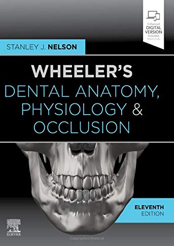 Coperta cărții "Wheeler&amp;#146;s Dental Anatomy, Physiology and Occlusion" de autor necunoscut