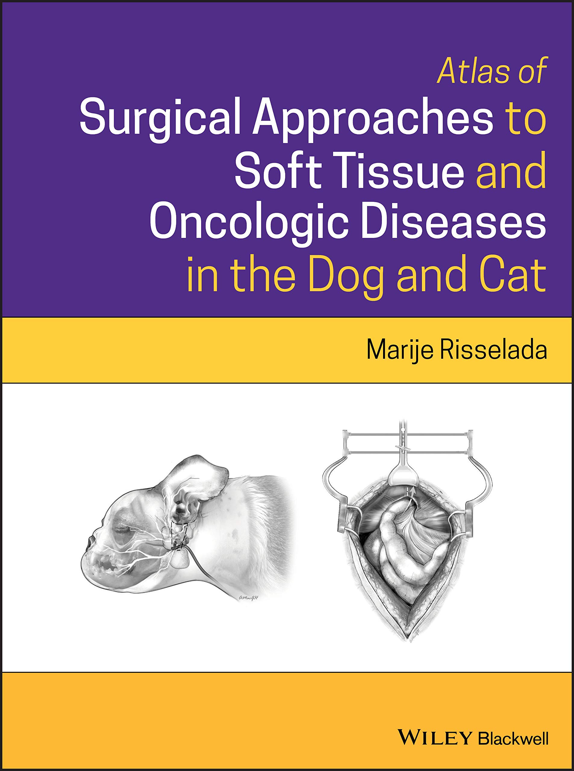 Coperta cărții "Atlas of Surgical Approaches to Soft Tissue and Oncologic Diseases in the Dog and Cat" de autor necunoscut