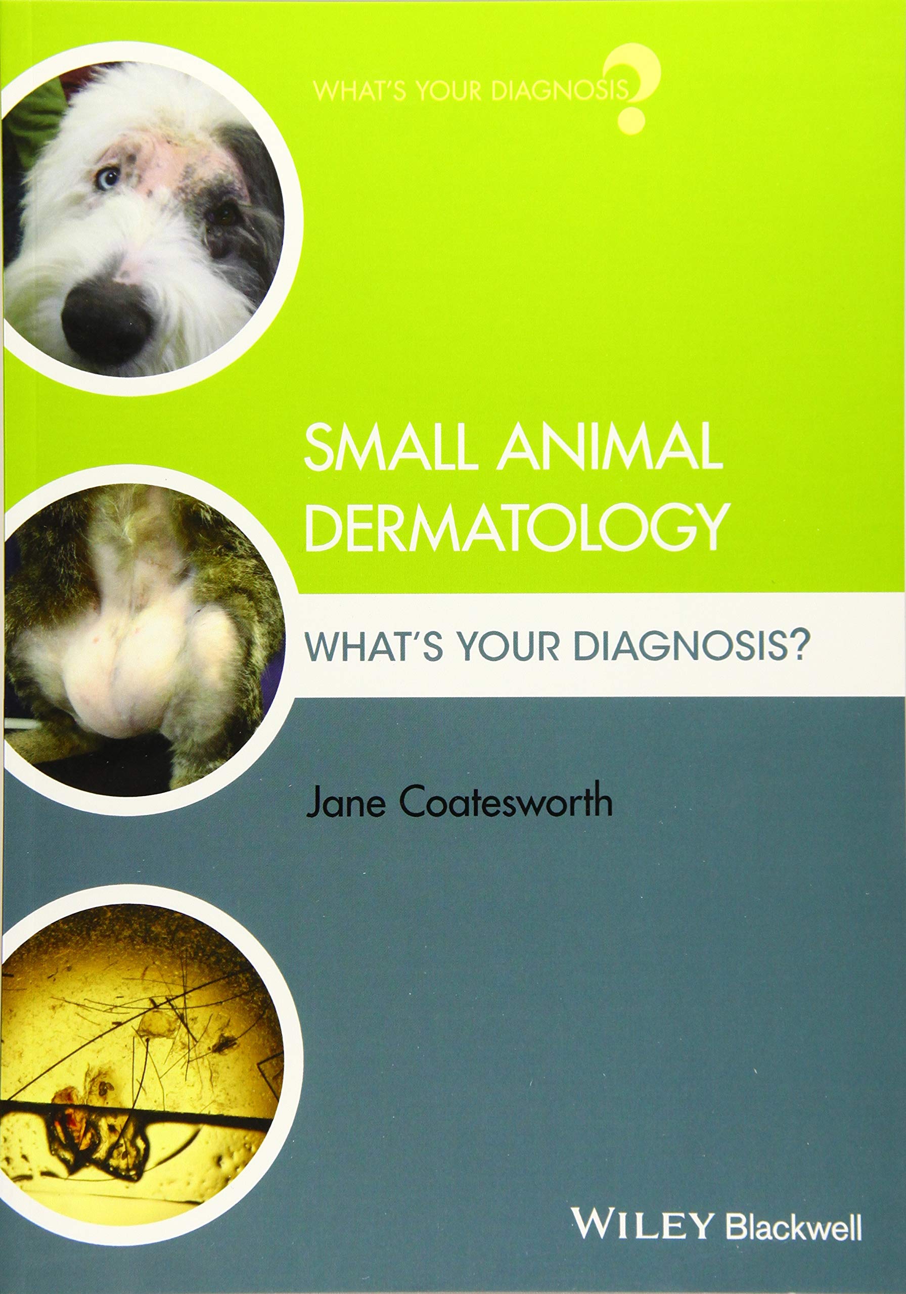Coperta cărții "Small Animal Dermatology: What&amp;#8242;s Your Diagnosis?" de autor necunoscut