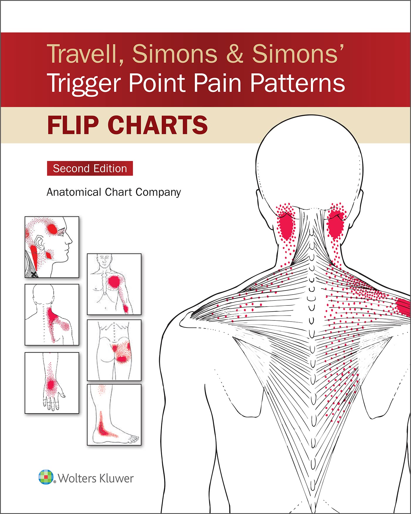 Coperta cărții "Travell, Simons &amp; Simons&amp;#146; Trigger Point Flip Charts" de autor necunoscut