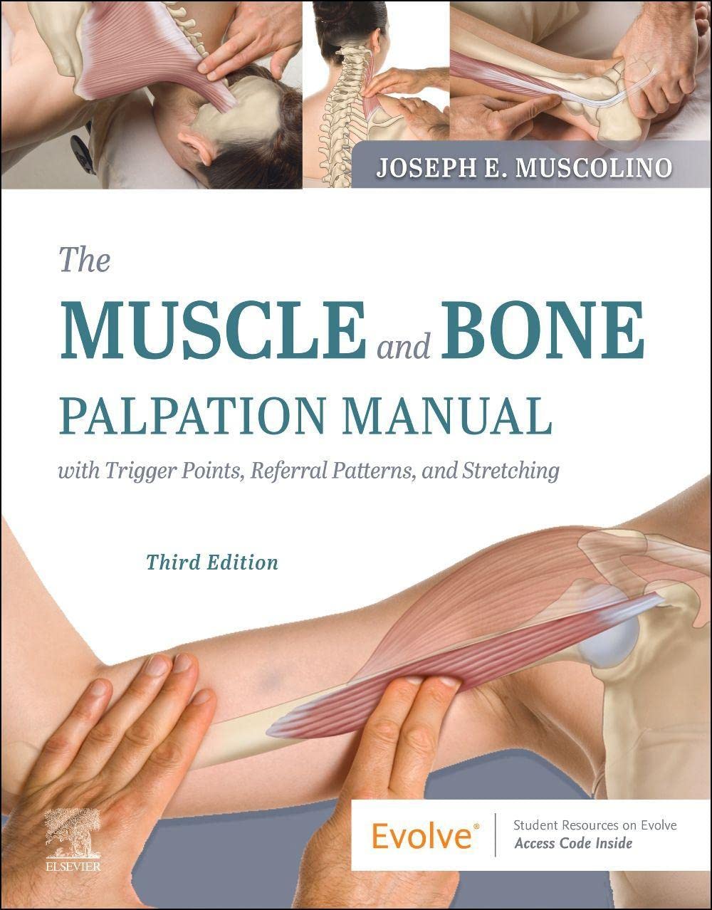 Coperta cărții "The Muscle and Bone Palpation Manual with Trigger Points, Referral Patterns and Stretching" de autor necunoscut
