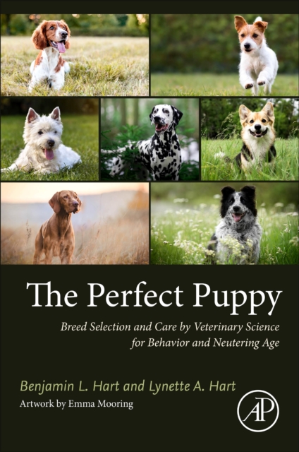 Coperta cărții "The Perfect Puppy" de autor necunoscut