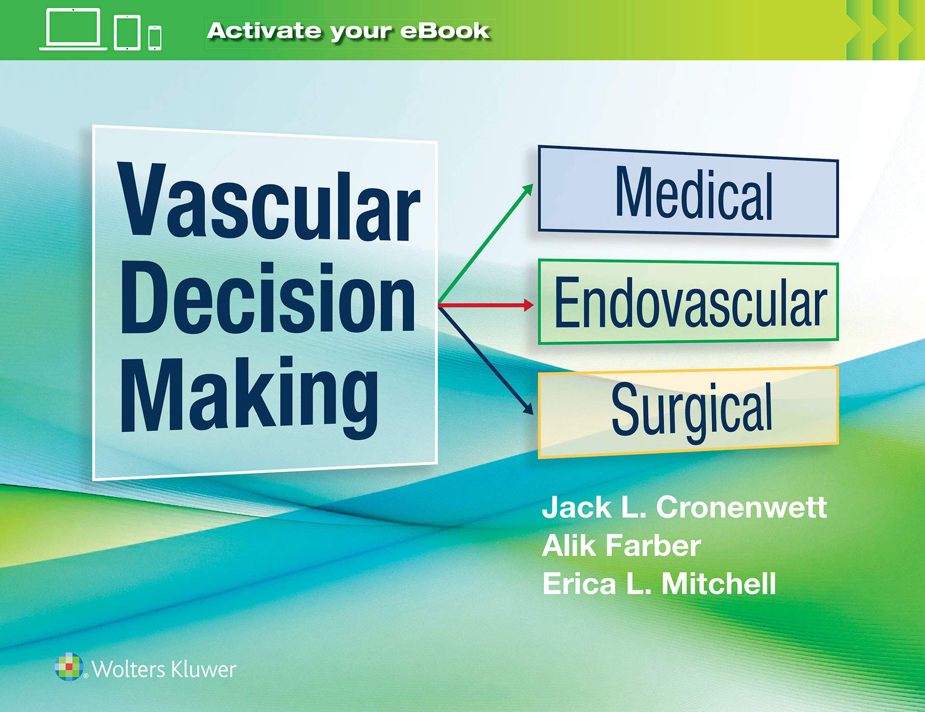 Coperta cărții "Vascular Decision Making: Medical, Endovascular, Surgical" de autor necunoscut