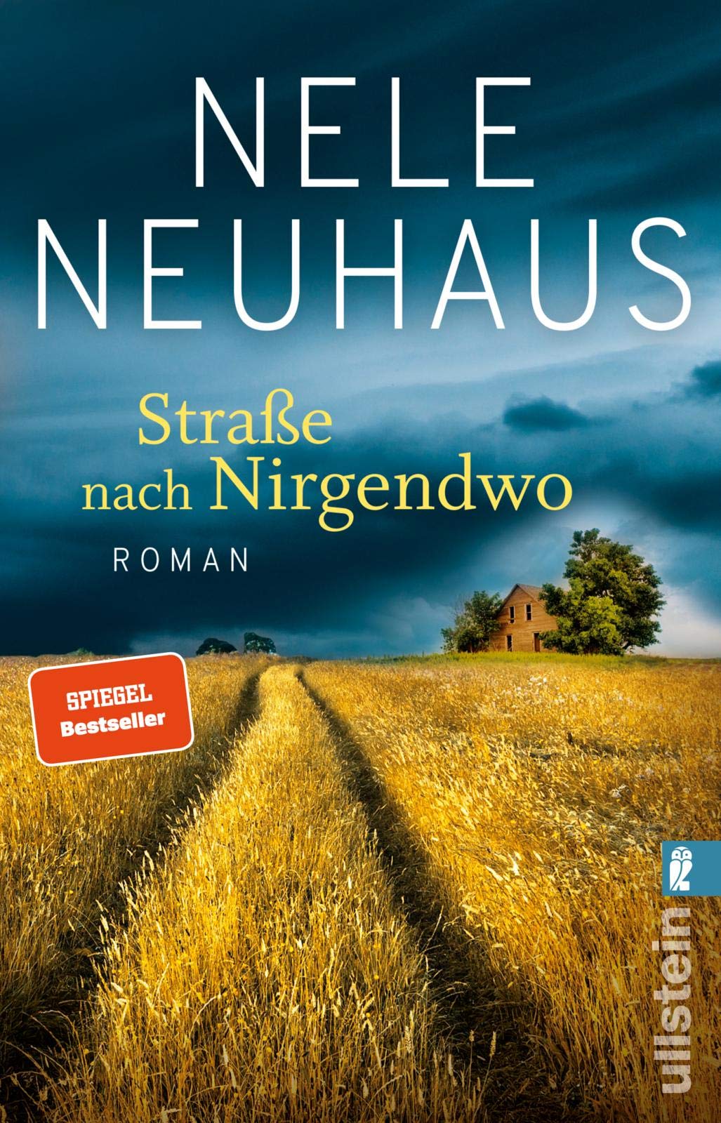 Coperta cărții "Strabe nach Nirgendwo" de autor necunoscut