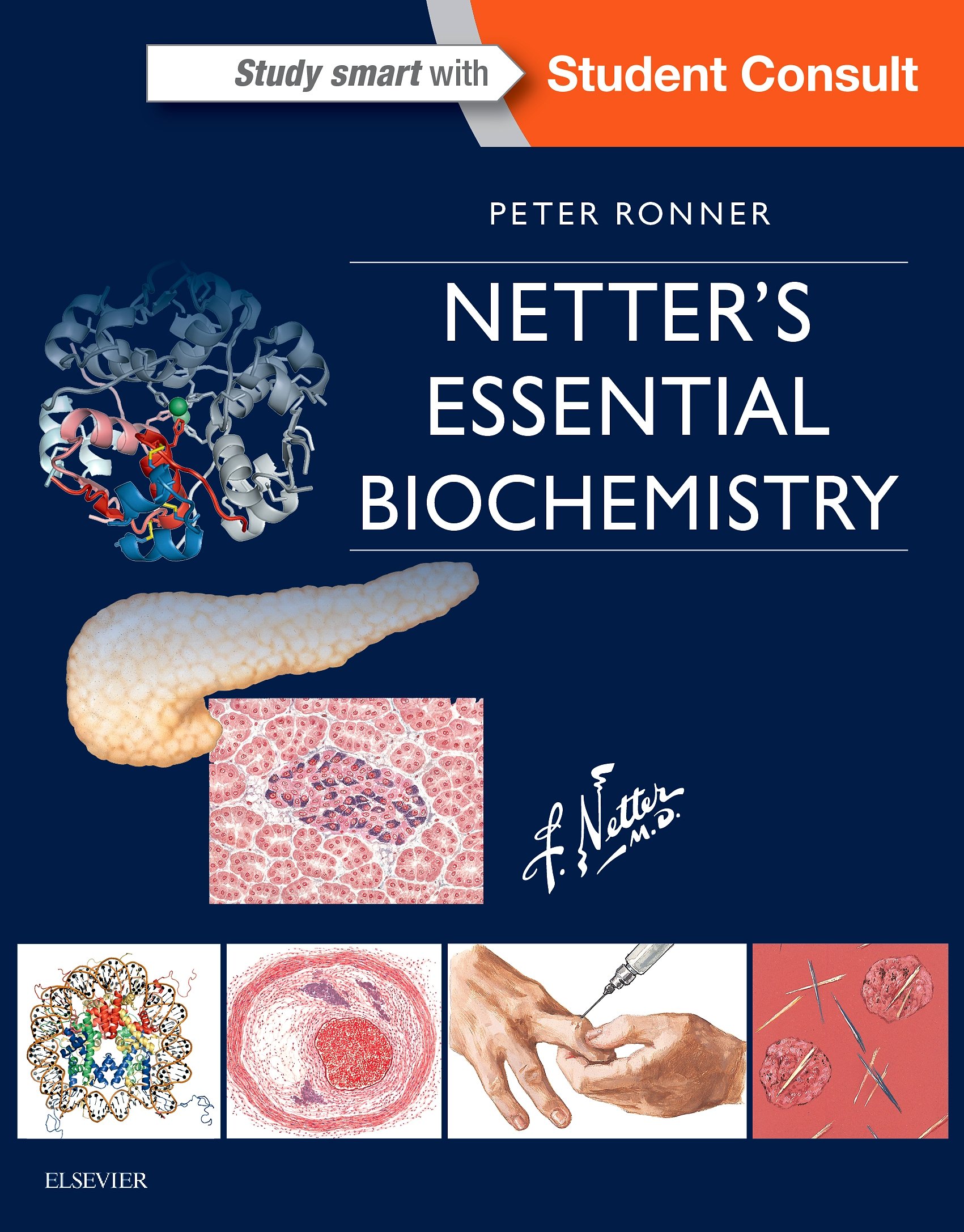 Coperta cărții "Netter&amp;#146;s Essential Biochemistry, 1e (Netter Basic Science)" de autor necunoscut