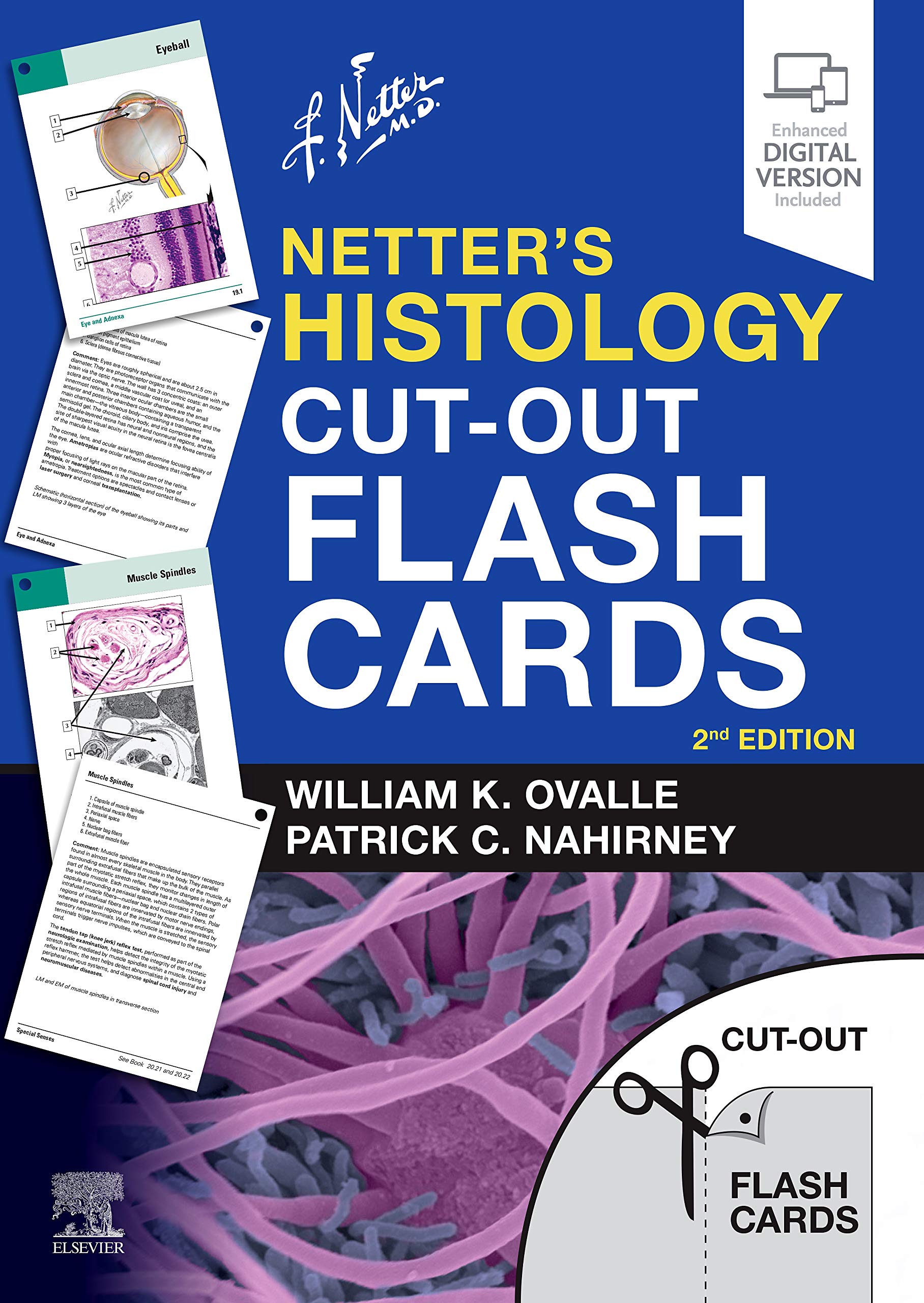 Coperta cărții "Netter&amp;#146;s Histology Cut-Out Flash Cards: A companion to Netter&amp;#146;s Essential Histology" de autor necunoscut