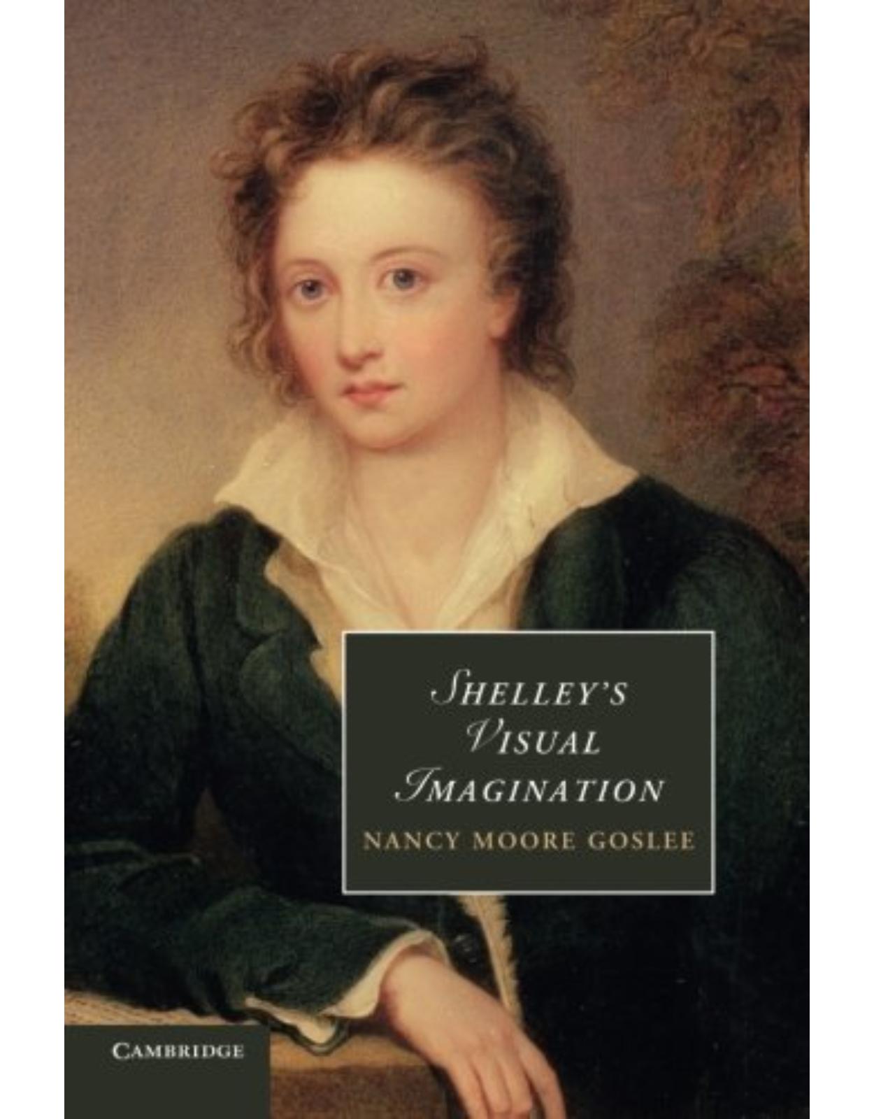 Shelley's Visual Imagination (Cambridge Studies in Romanticism)