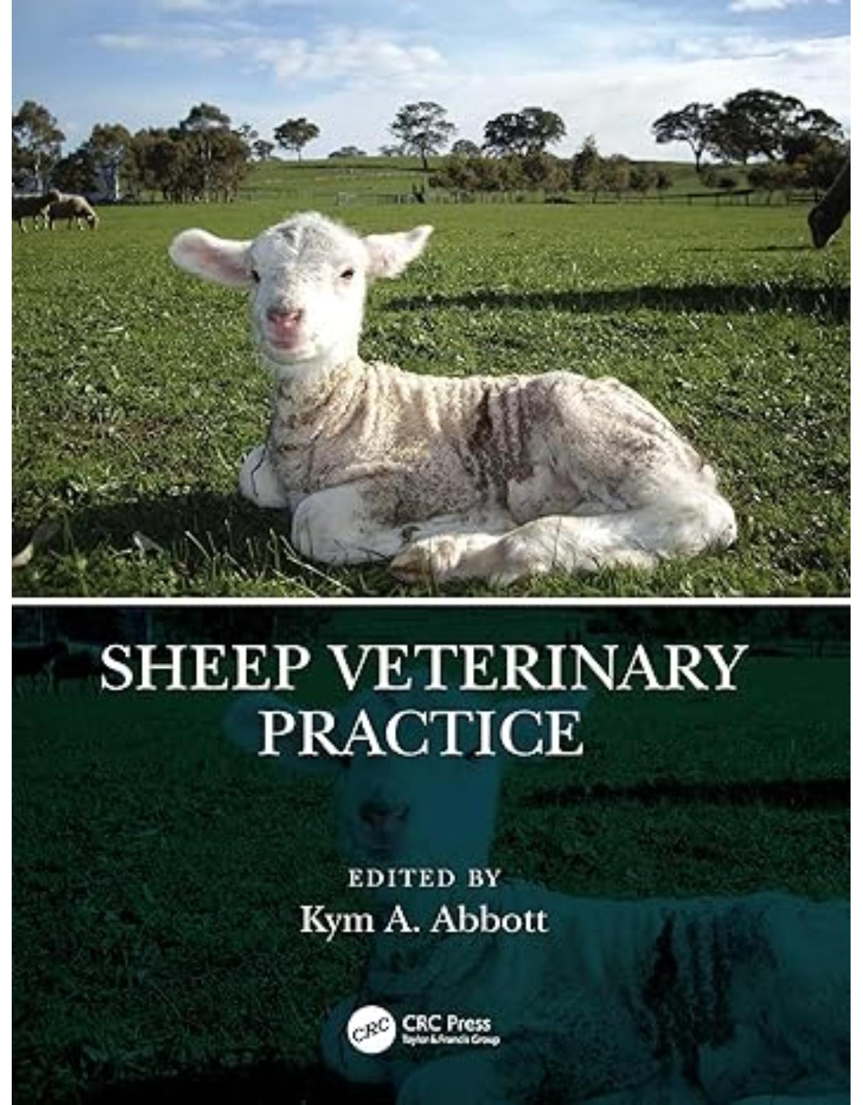 Sheep Veterinary Practice