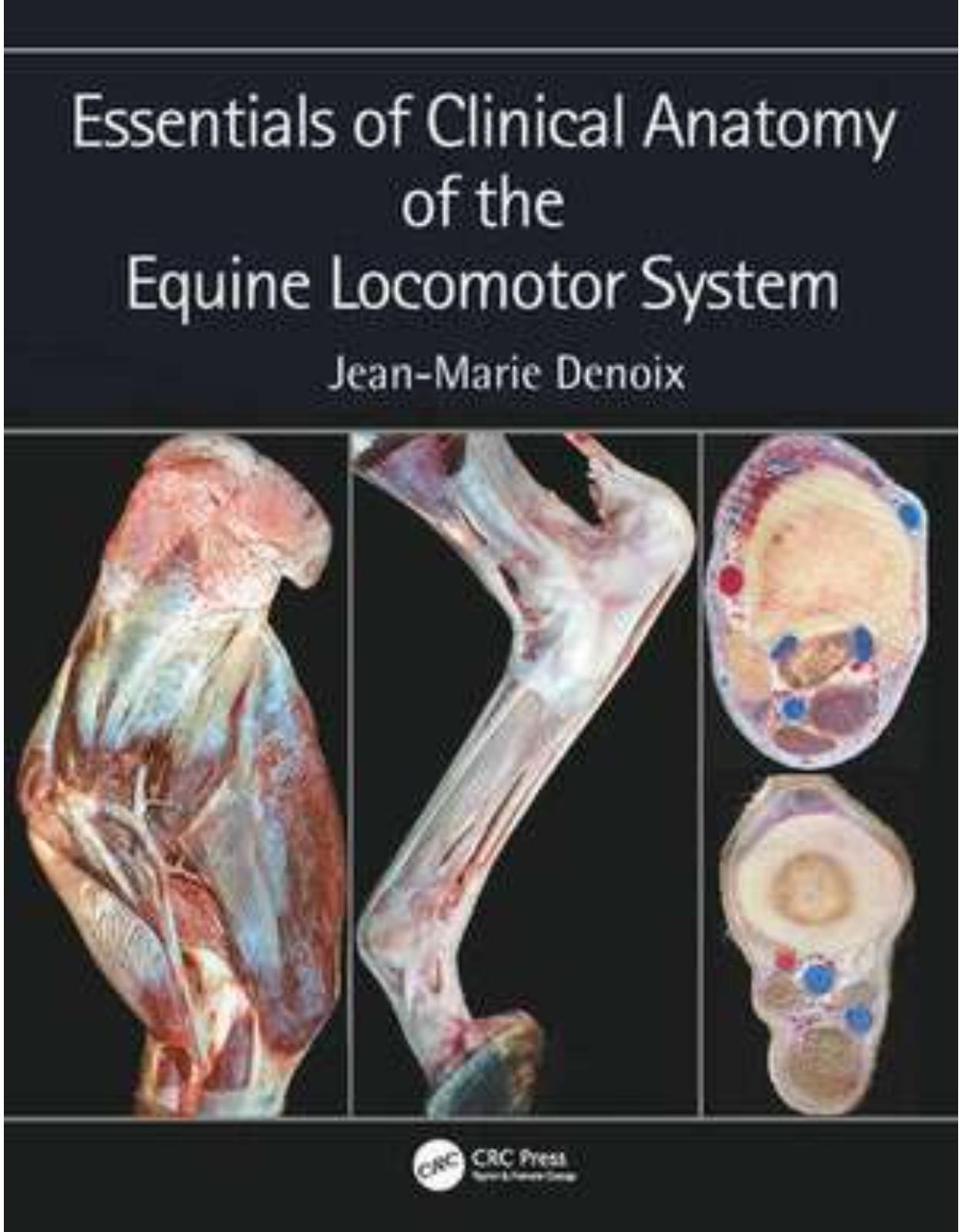 Essentials of Clinical Anatomy of the Equine Locomotor System