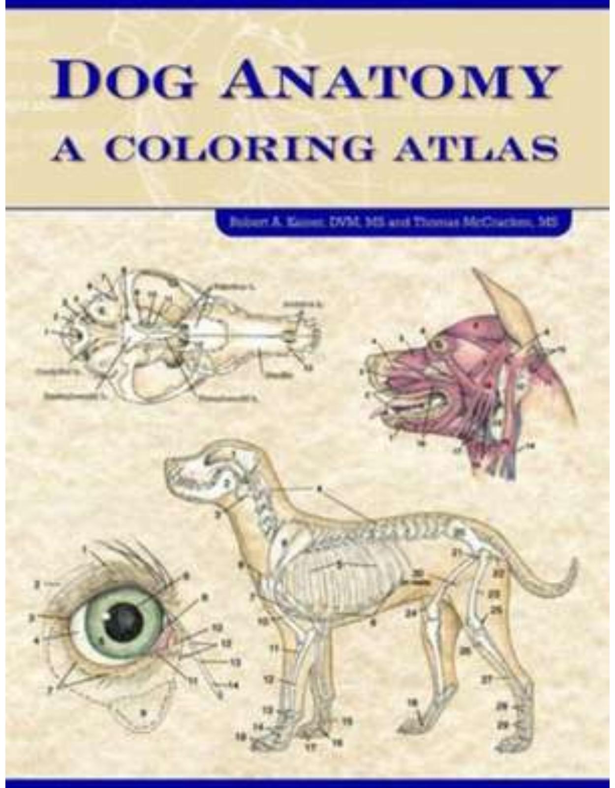 Dog Anatomy: A Coloring Atlas