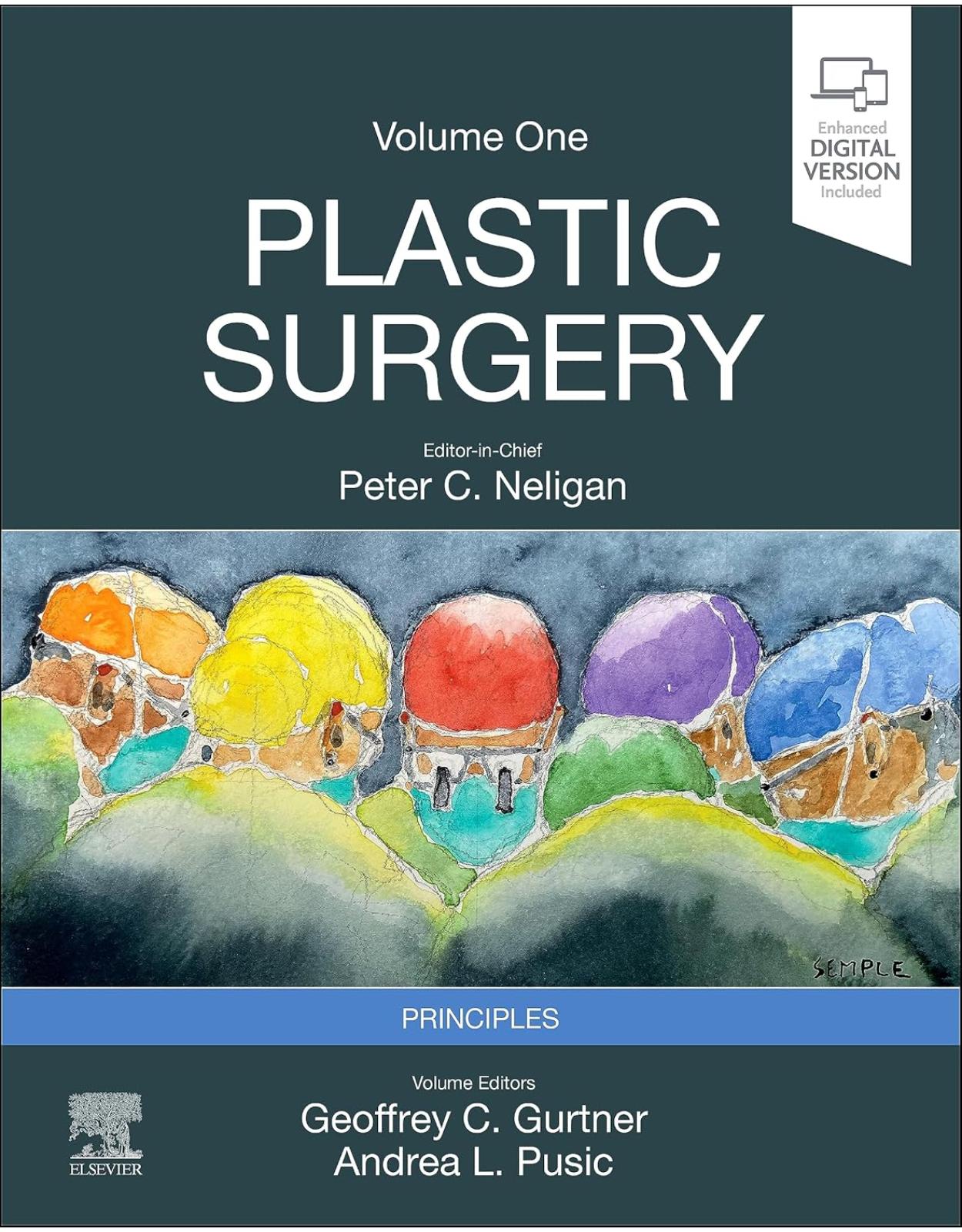 Plastic Surgery: Volume 1: Principles