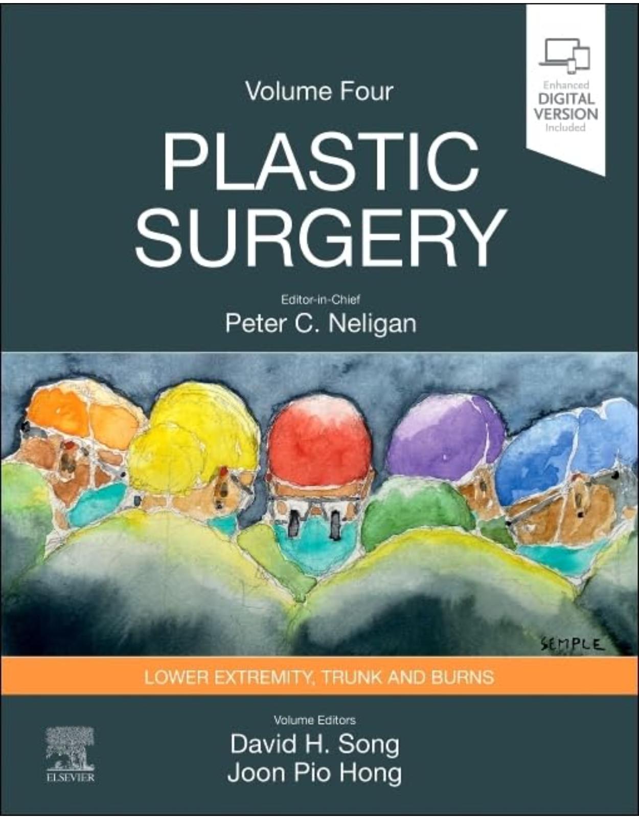 Plastic Surgery: Volume 4: Trunk and Lower Extremity