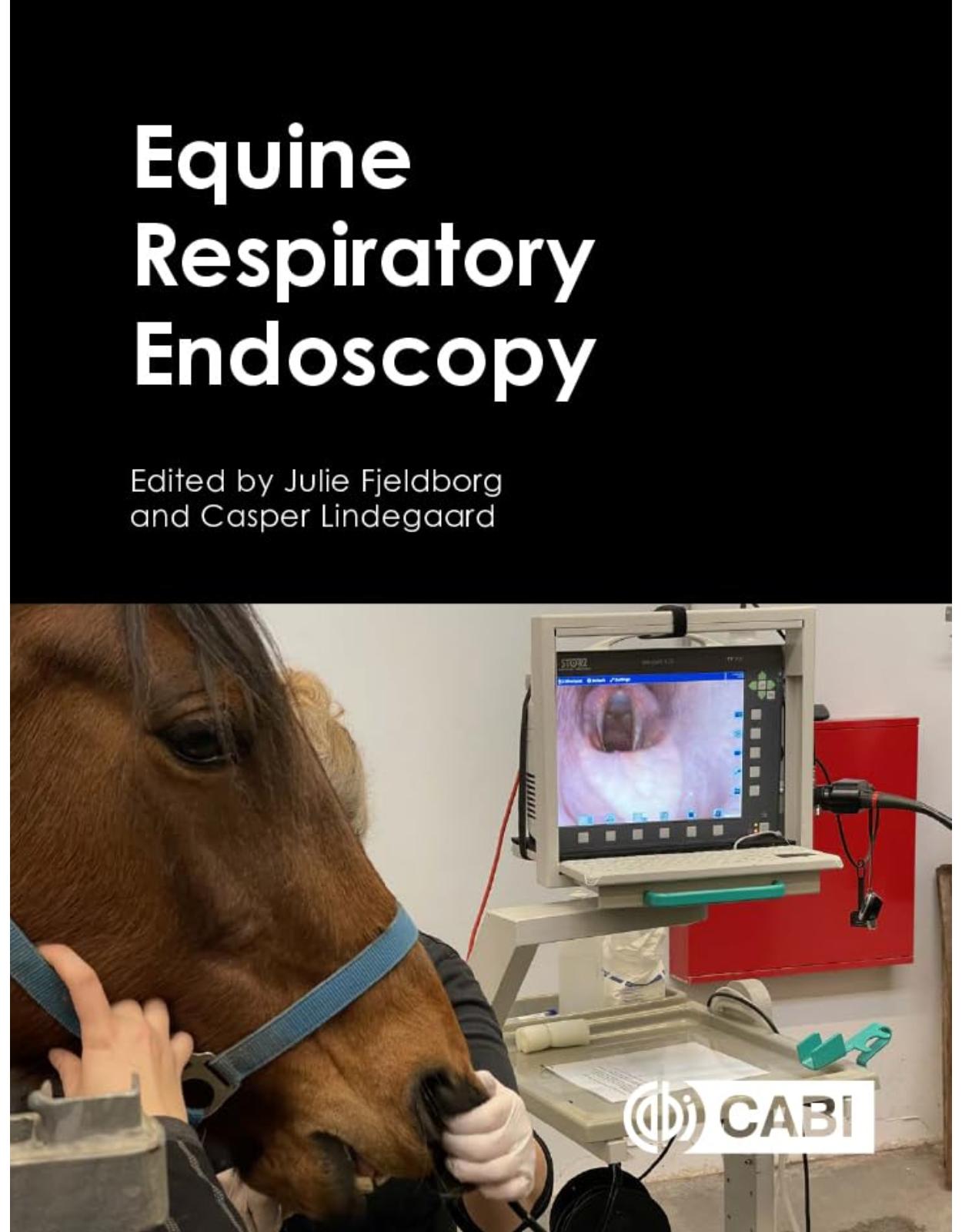 Equine Respiratory Endoscopy