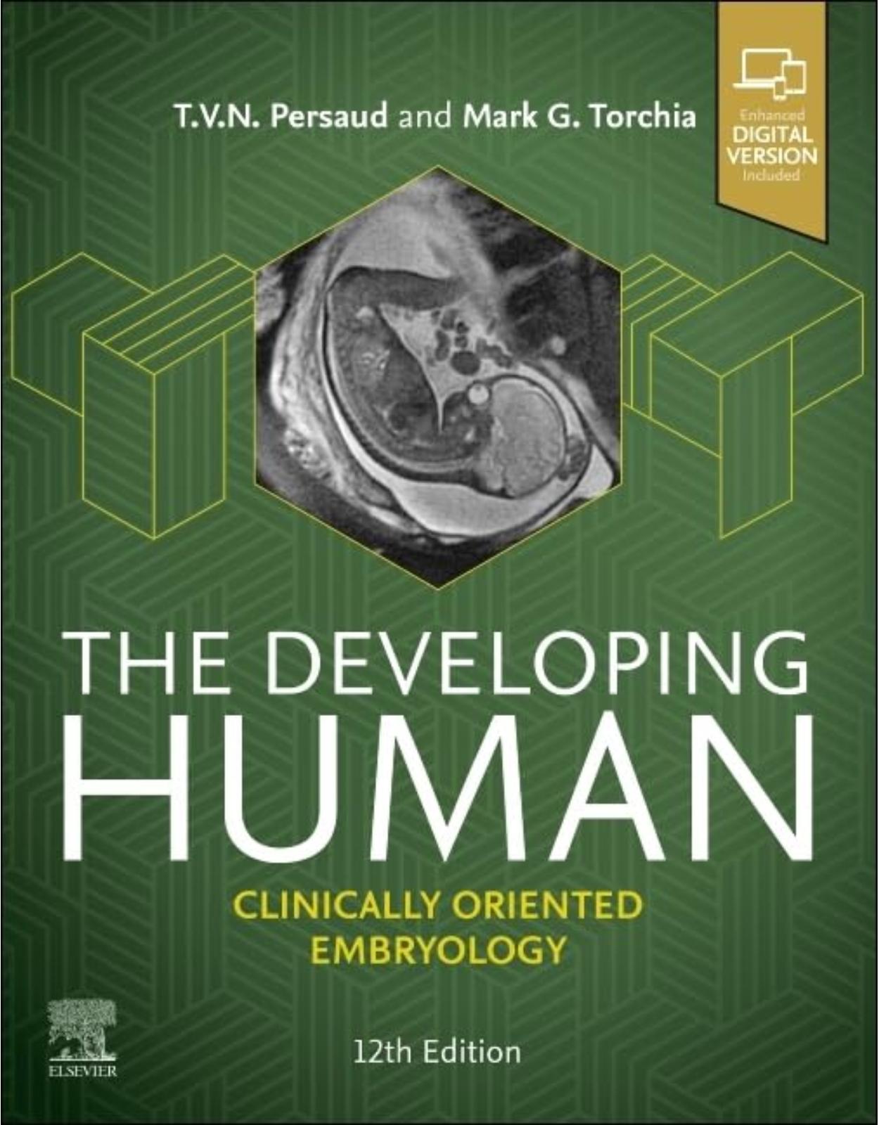 The Developing Human: Clinically Oriented Embryology 