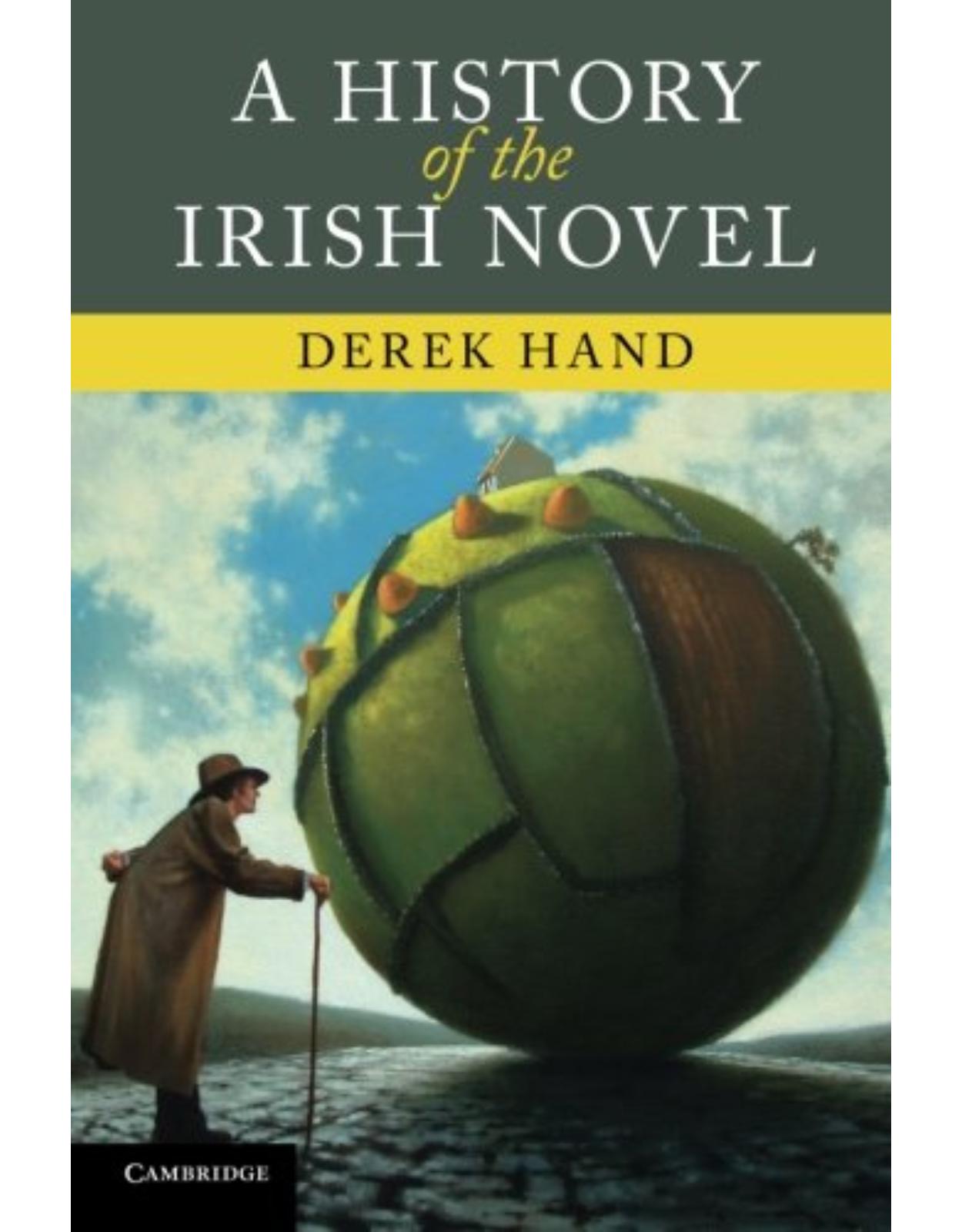 A History of the Irish Novel