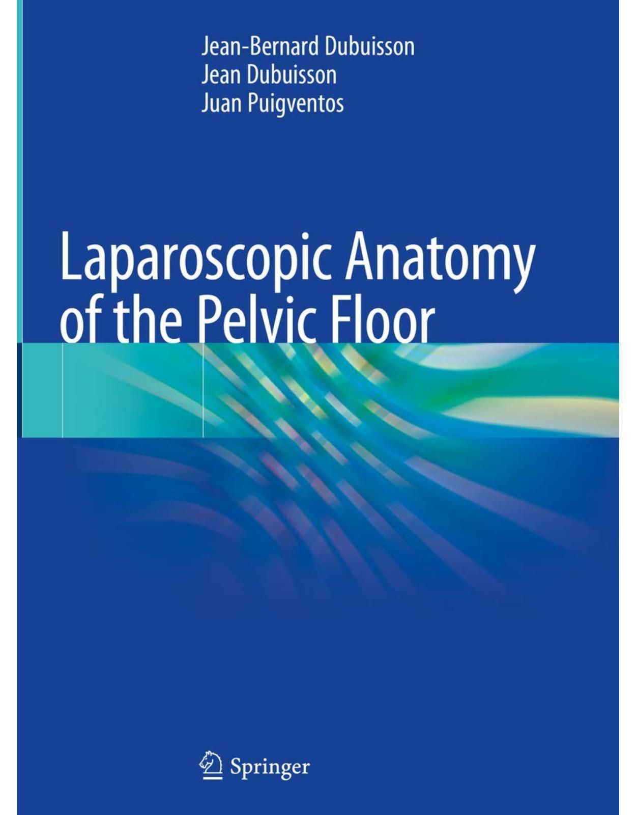 Laparoscopic Anatomy of the Pelvic Floor 