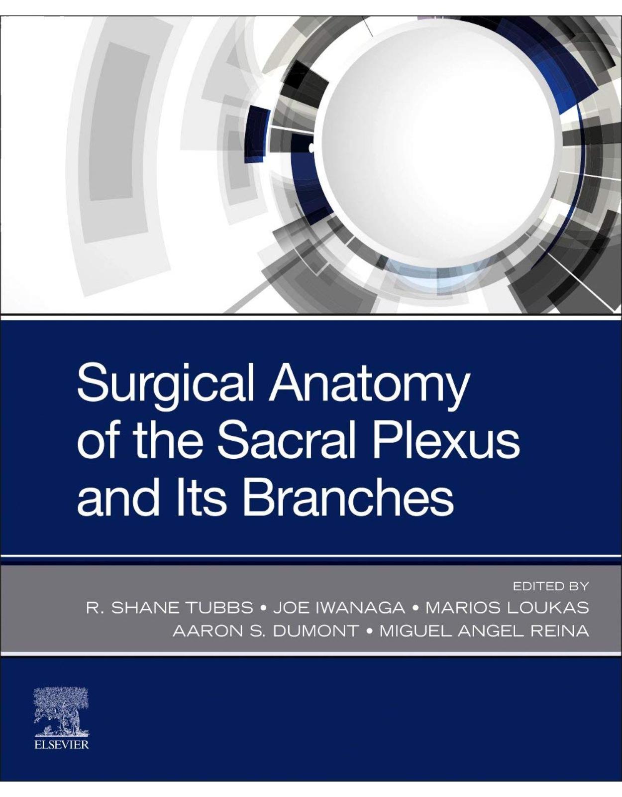 Surgical Anatomy of the Sacral Plexus and its Branches 