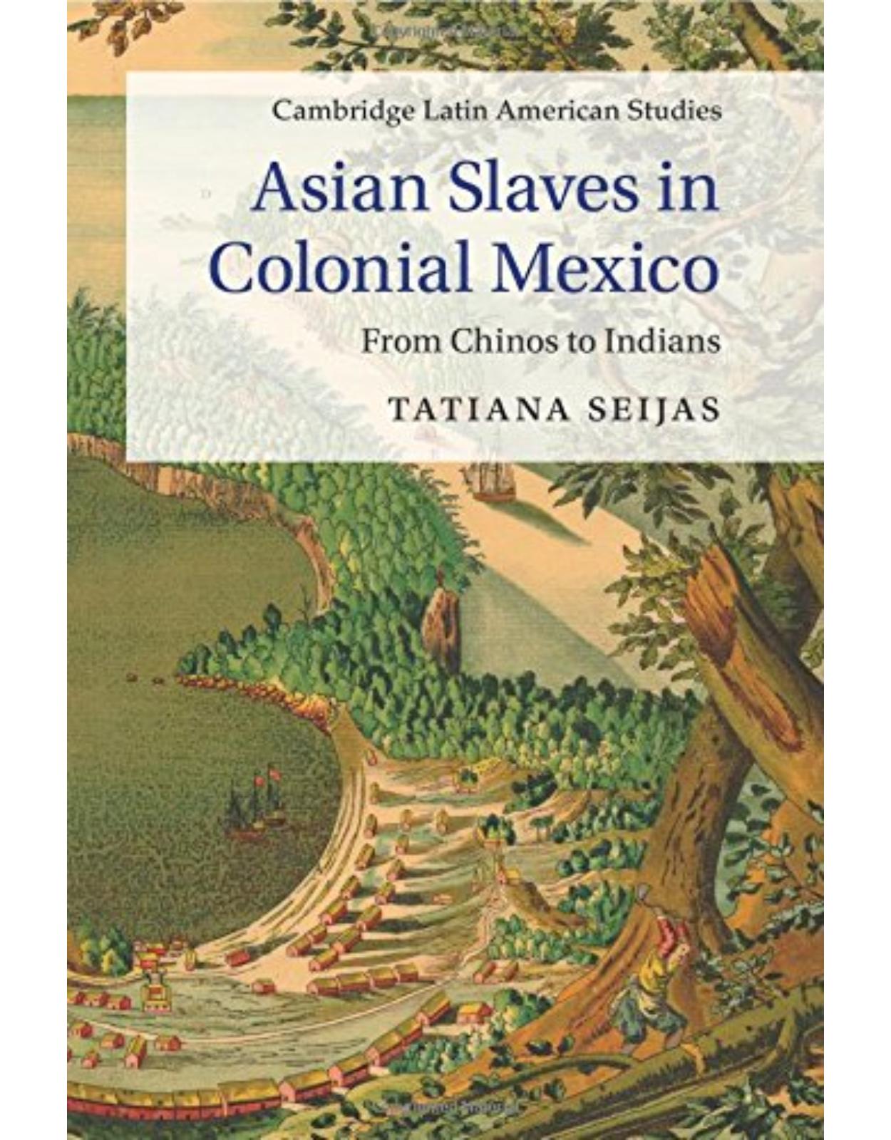 Asian Slaves in Colonial Mexico: From Chinos to Indians (Cambridge Latin American Studies)