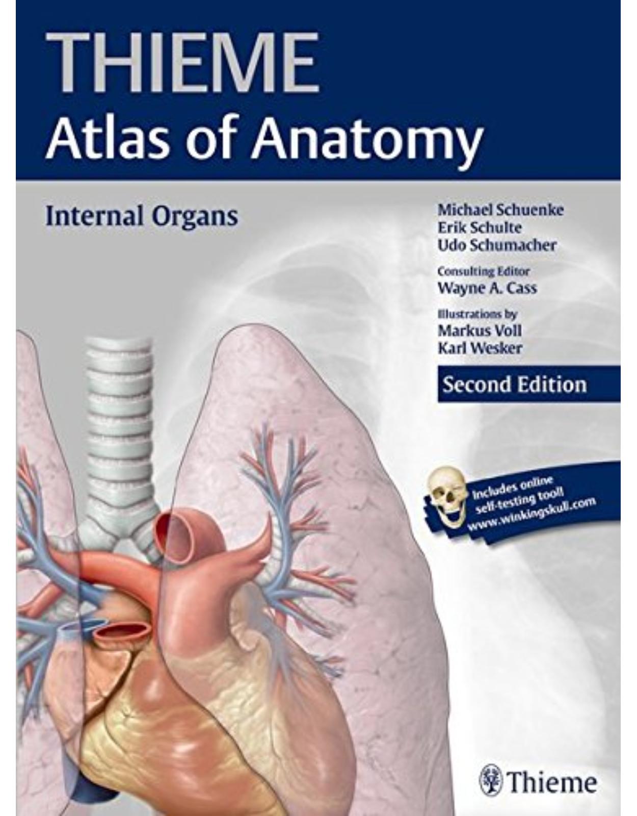 Internal Organs Thieme Atlas Of Anatomy Carti De Medicina Pentru Studenti Ebookshop Ro