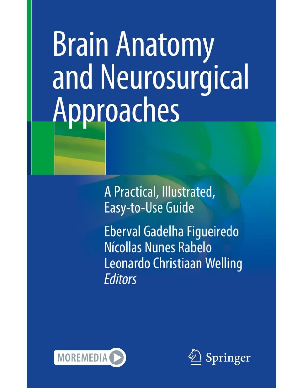 Brain Anatomy and Neurosurgical Approaches. A Practical, Illustrated, Easy-to-Use Guide