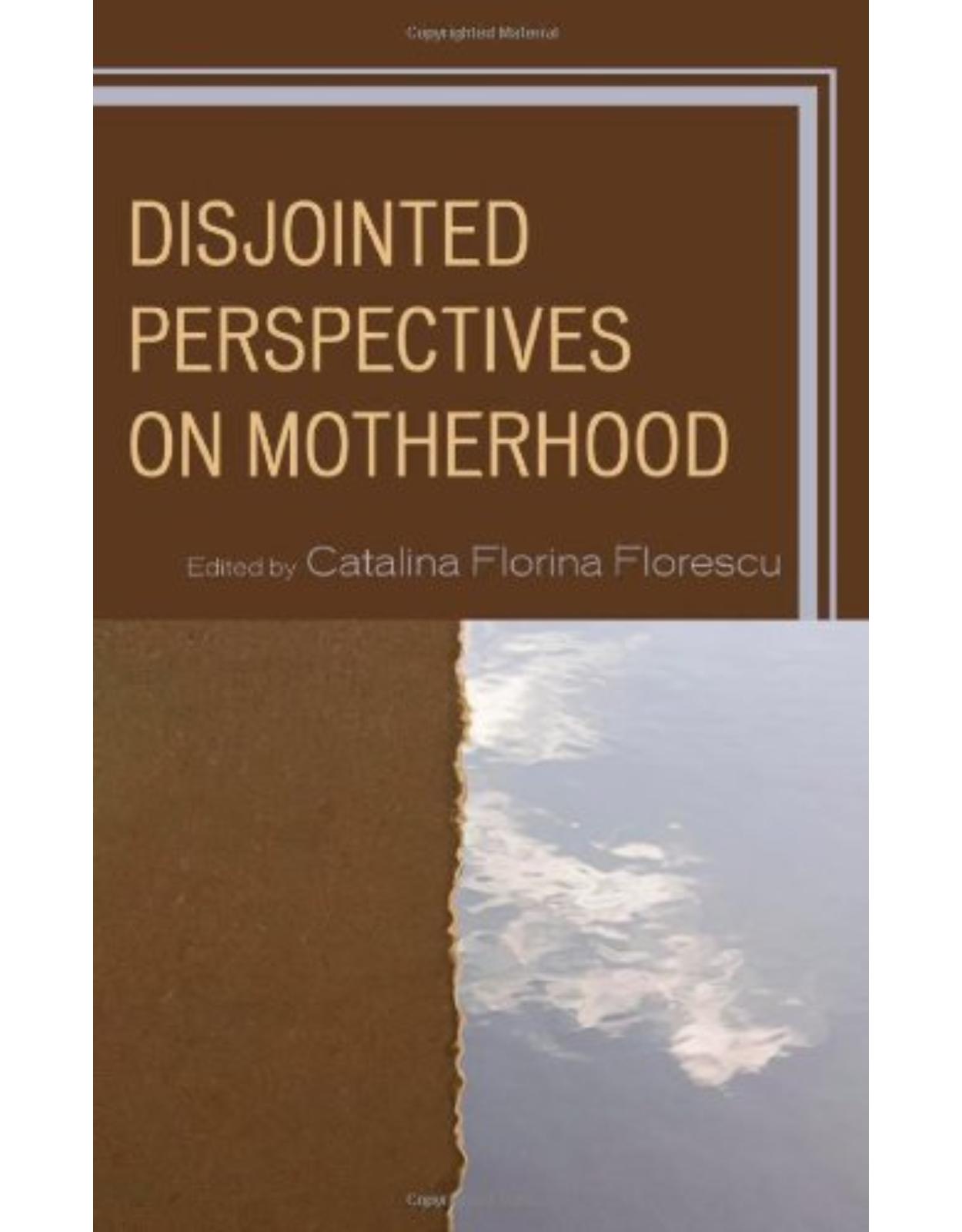 Disjointed Perspectives on Motherhood