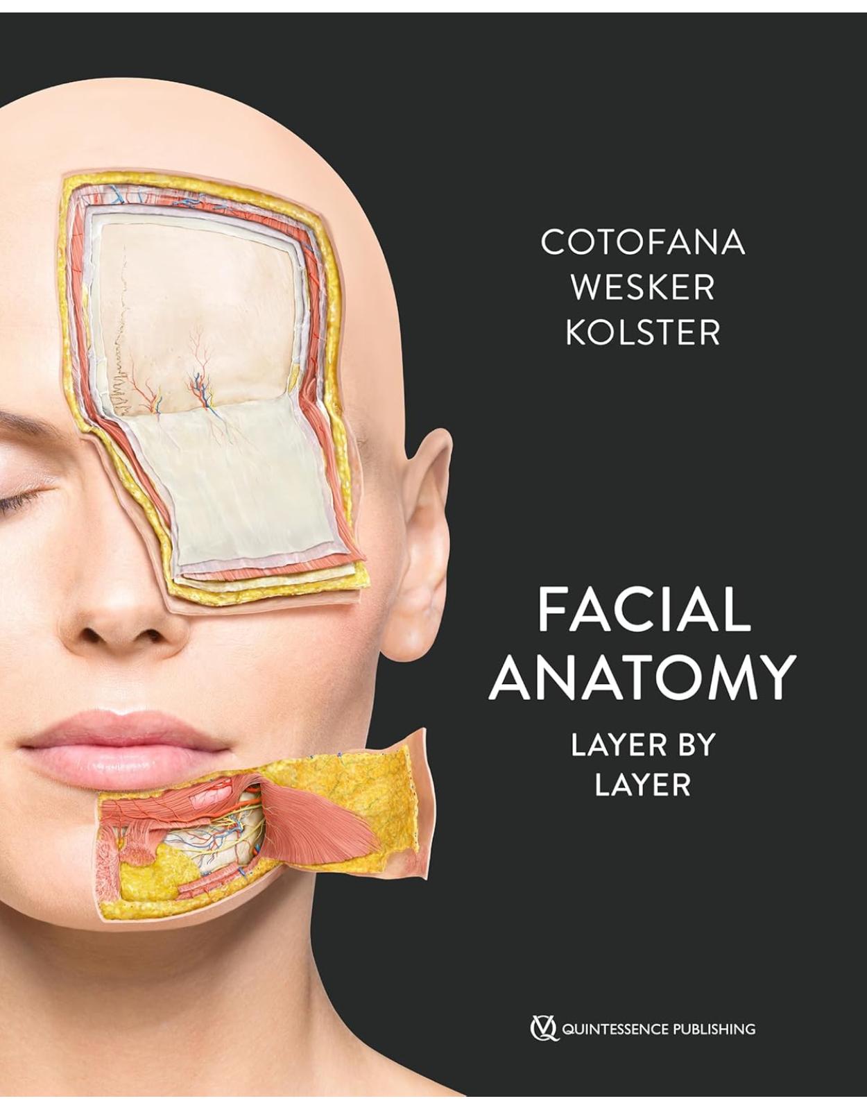 Facial Anatomy. Layer by Layer