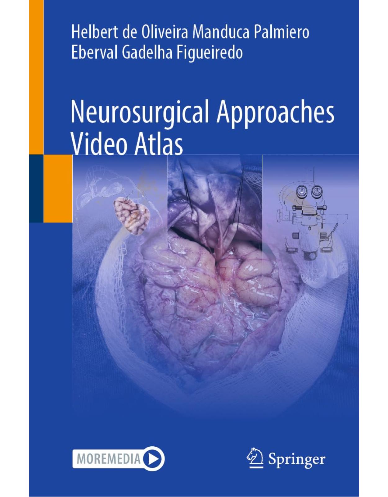 Neurosurgical Approaches Video Atlas