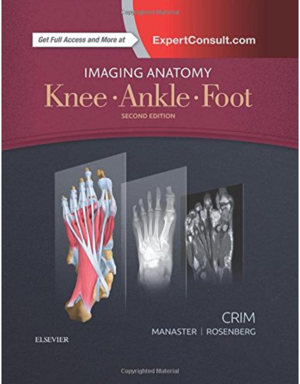 Imaging Anatomy: Knee, Ankle, Foot, 2nd Edition
