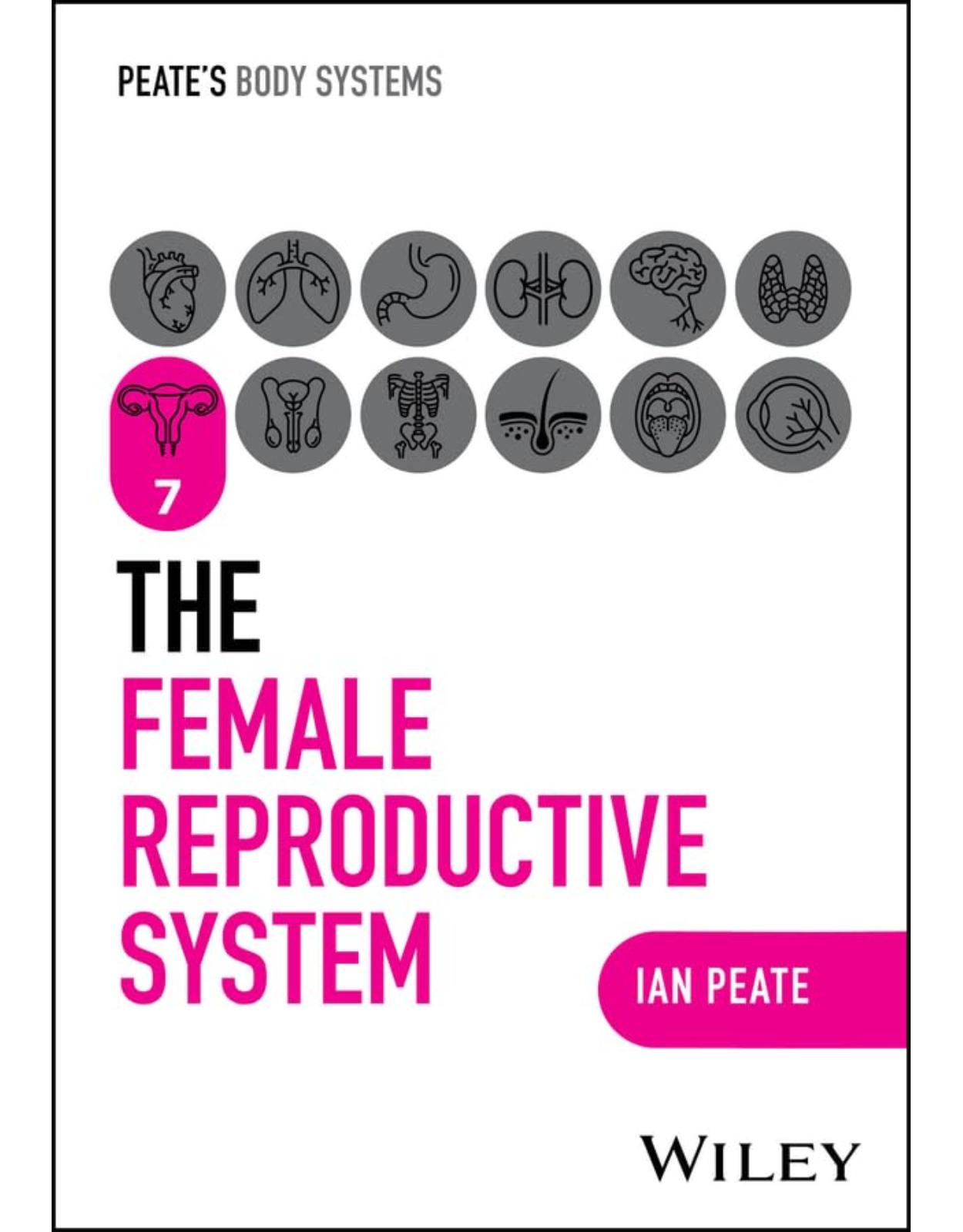The Female Reproductive System