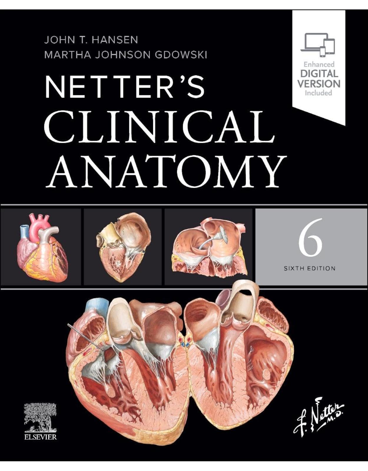 Netter's Clinical Anatomy, 6th Edition