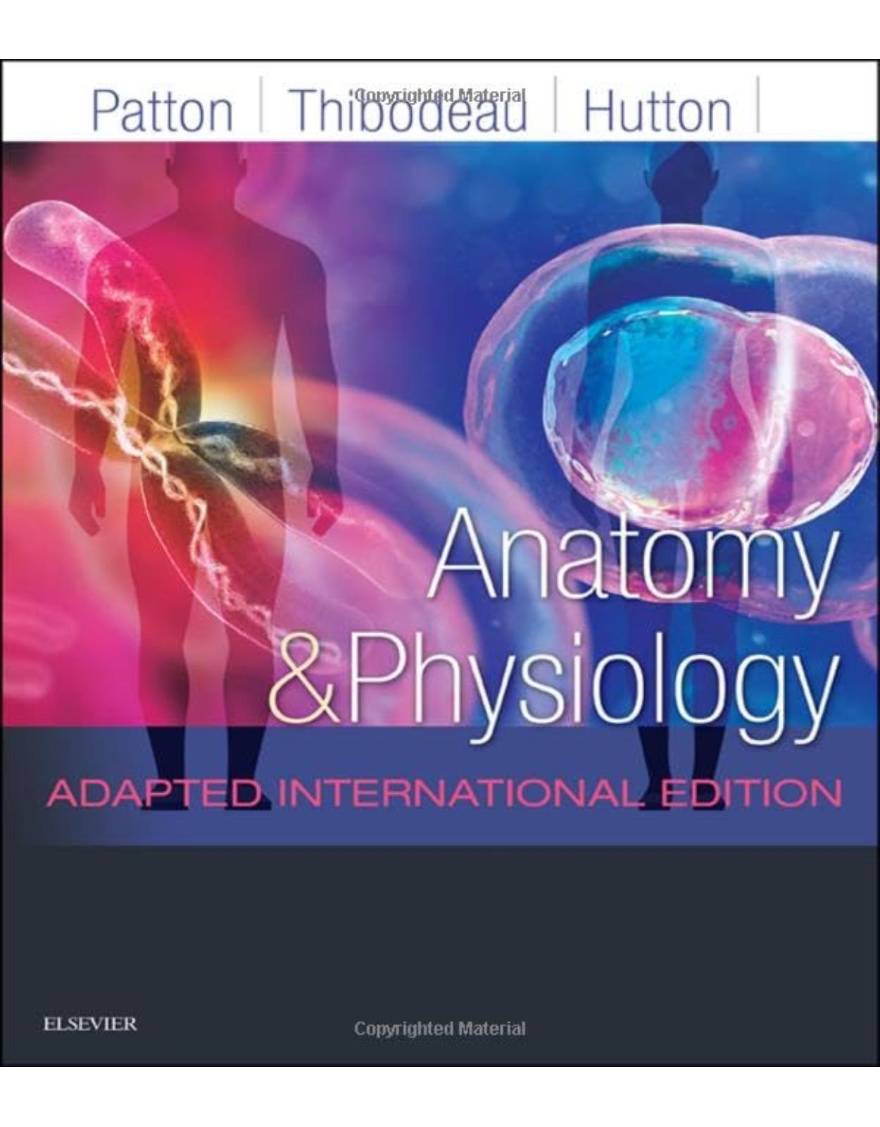 Anatomy and Physiology, 1st Edition
