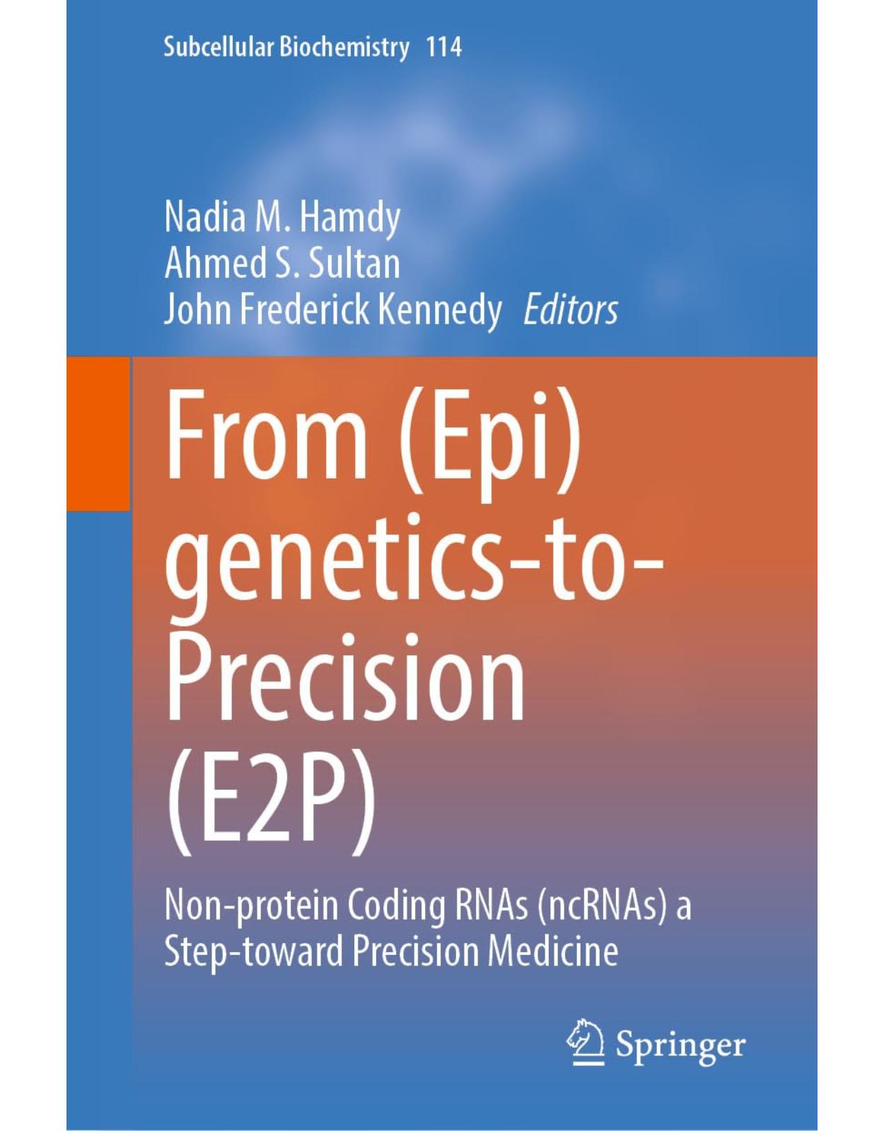 From (Epi)genetics-to-Precision (E2P): Non-protein Coding RNAs (ncRNAs) a Step-toward Precision Medicine (Subcellular Biochemistry Book 114)