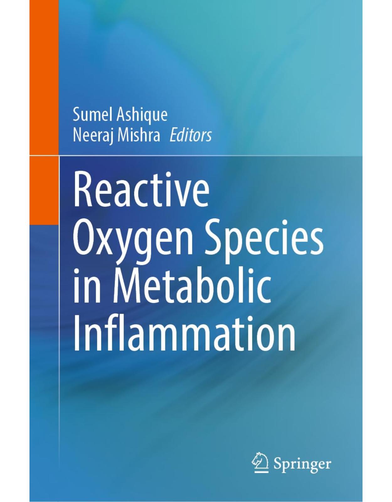 Reactive Oxygen Species in Metabolic Inflammation