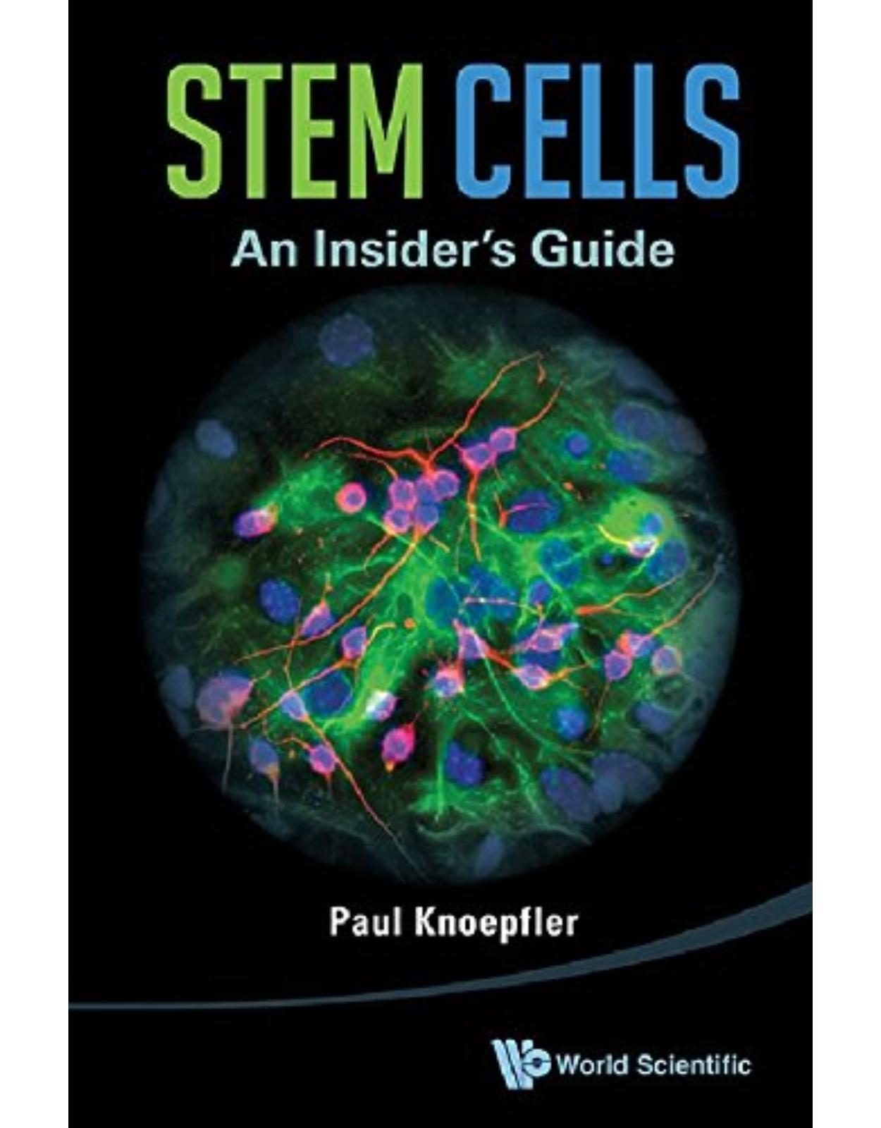 STEM CELLS: AN INSIDER'S GUIDE