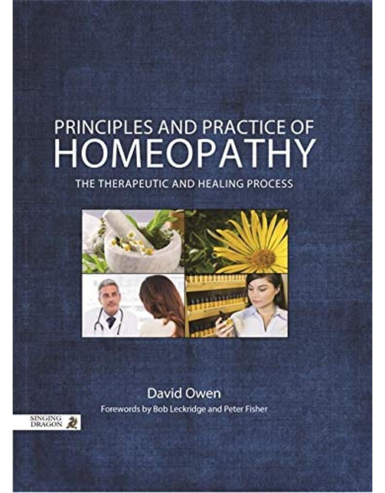 Principles and Practice of Homeopathy: The Therapeutic and Healing Process