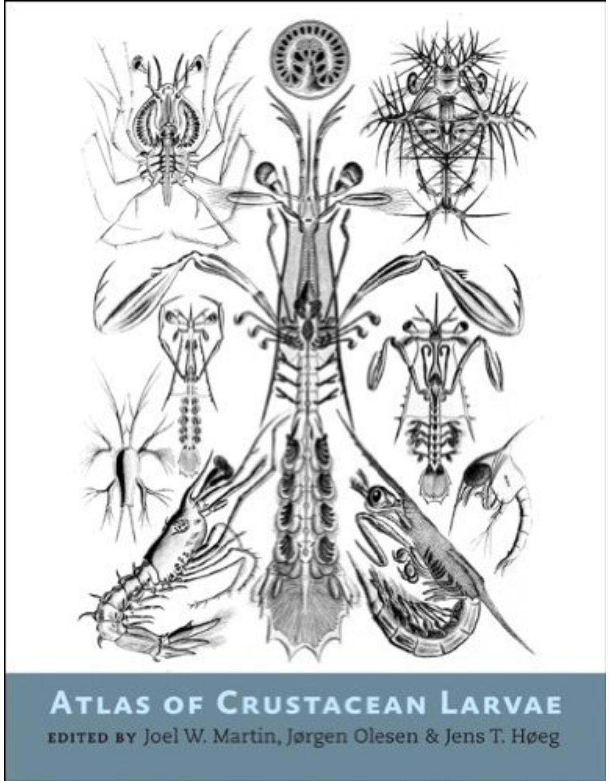 Atlas of Crustacean Larvae,